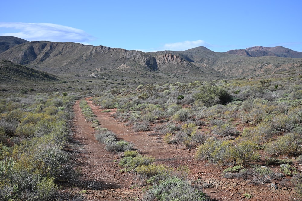 a dirt road in the middle of a desert