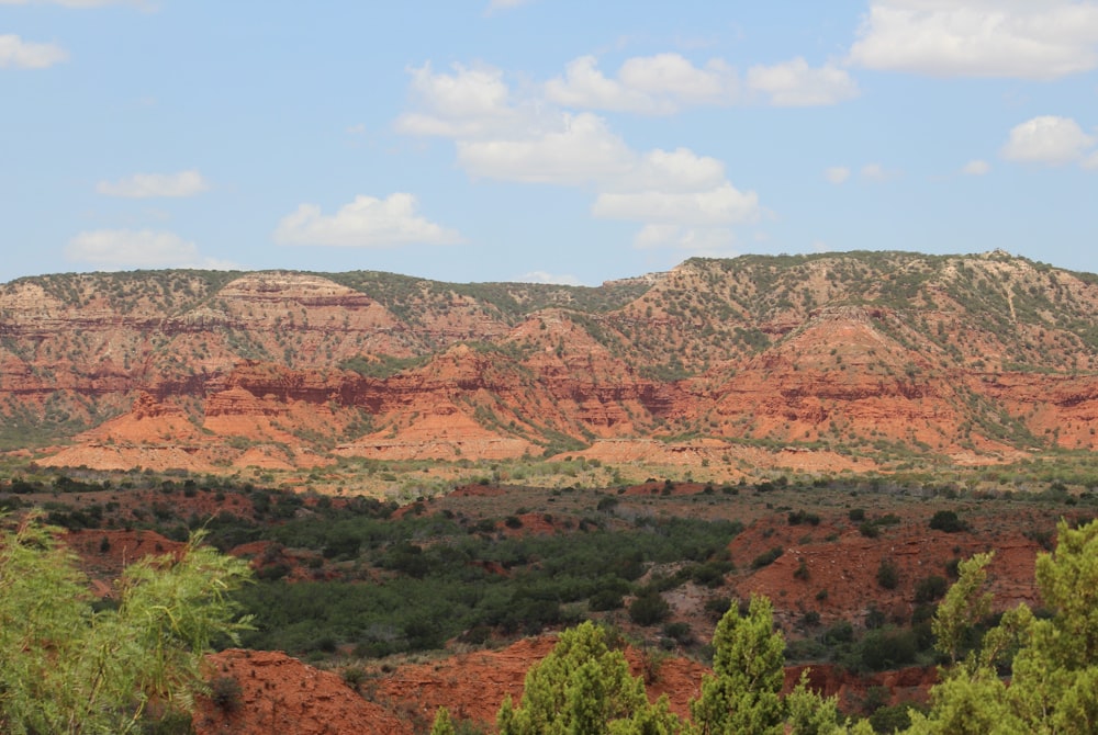 a landscape with trees and hills