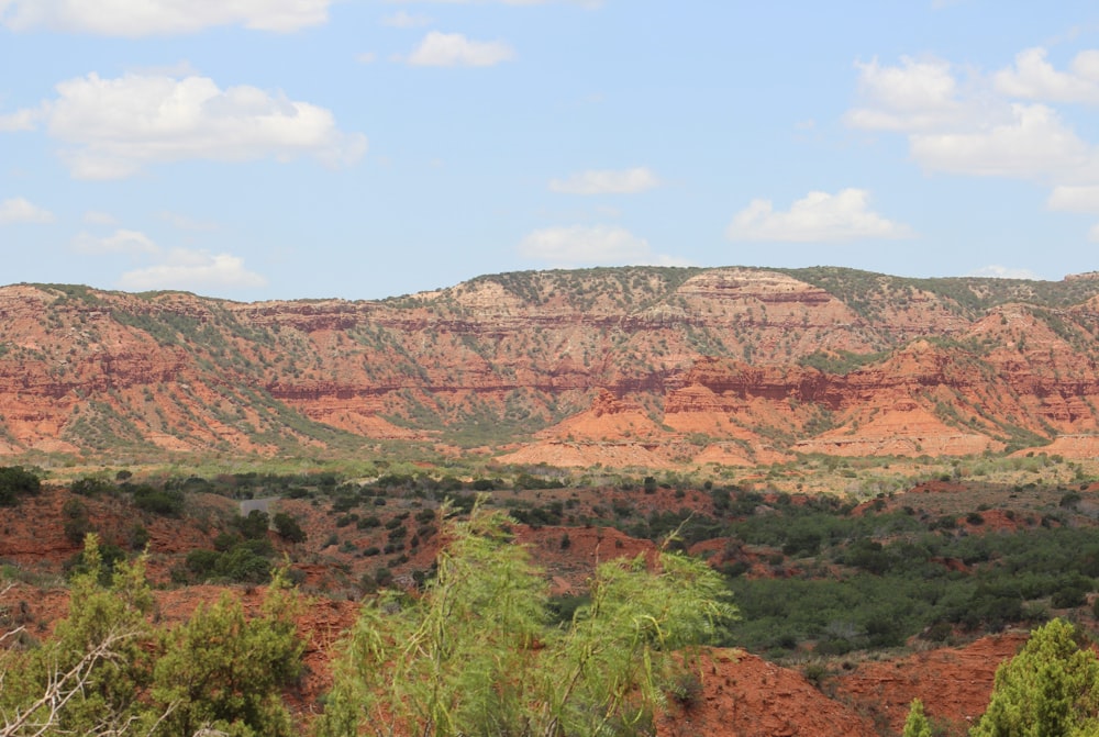 a landscape with trees and hills