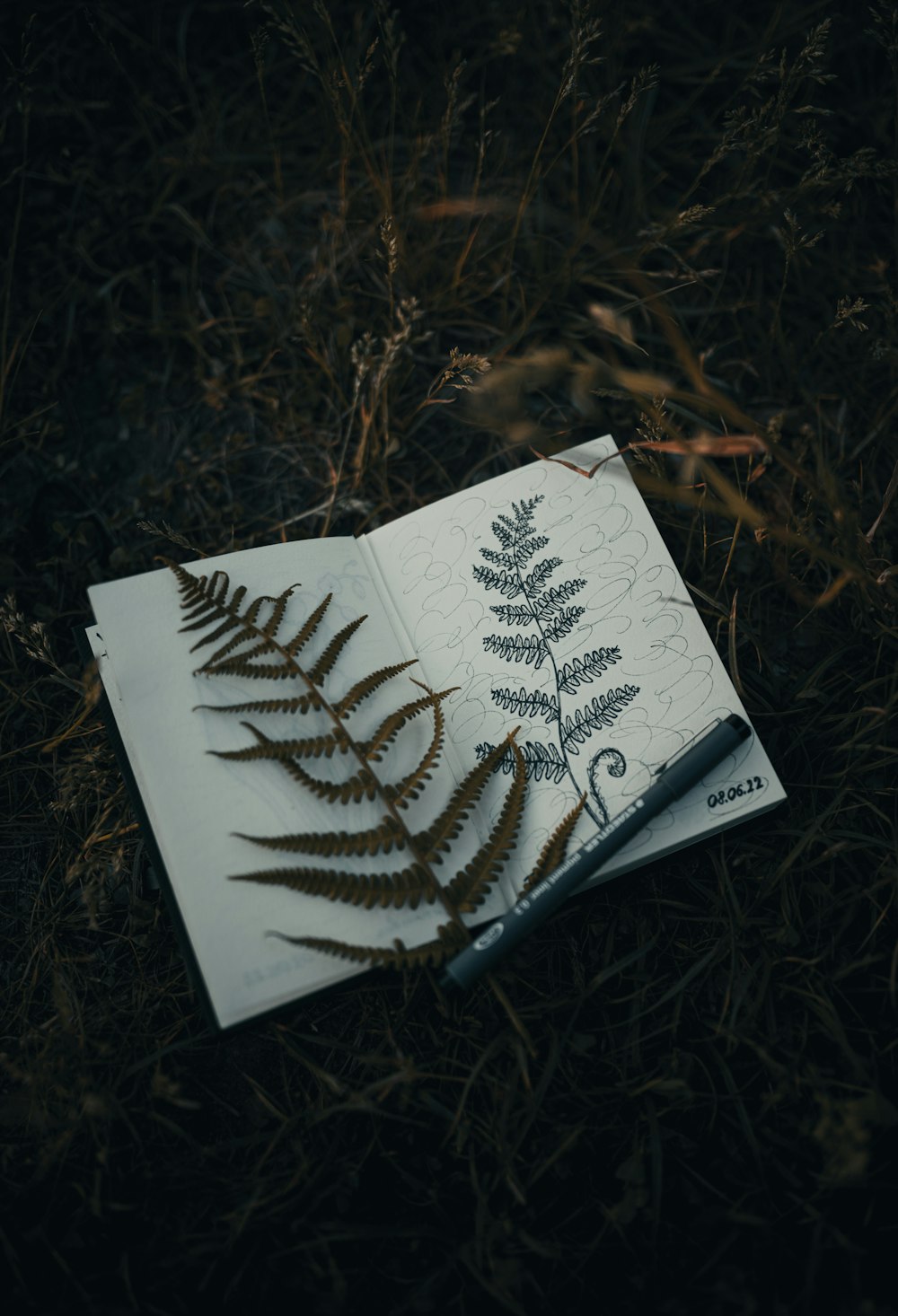 a paper with a leaf on it