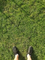 A pair of Fosutopar cleats resting on fresh green grass under natural sunlight.