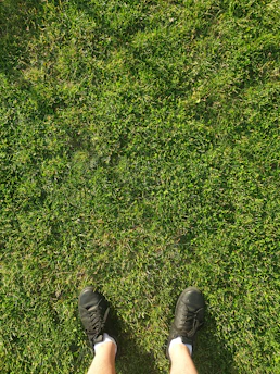 Close-up of worn football boots resting on lush green grass under soft sunlight.