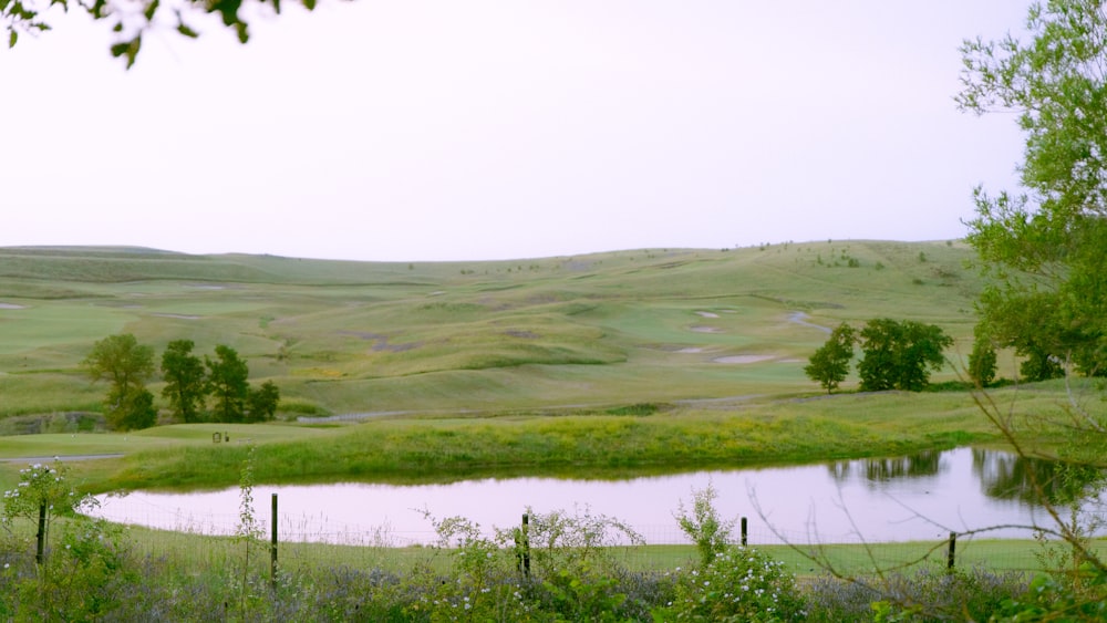 a body of water with grass and trees around it