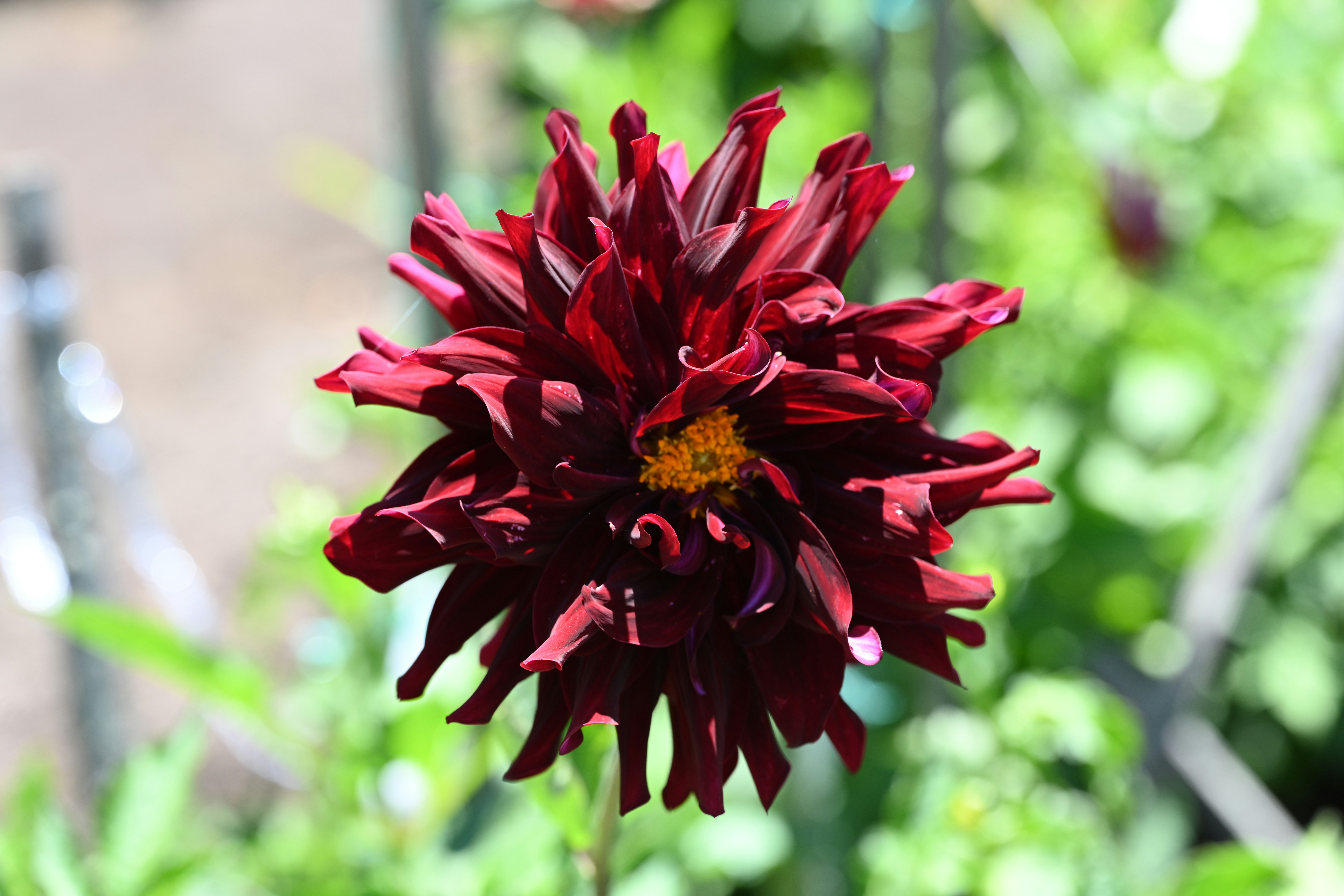 Photo by theunknownaldiaz