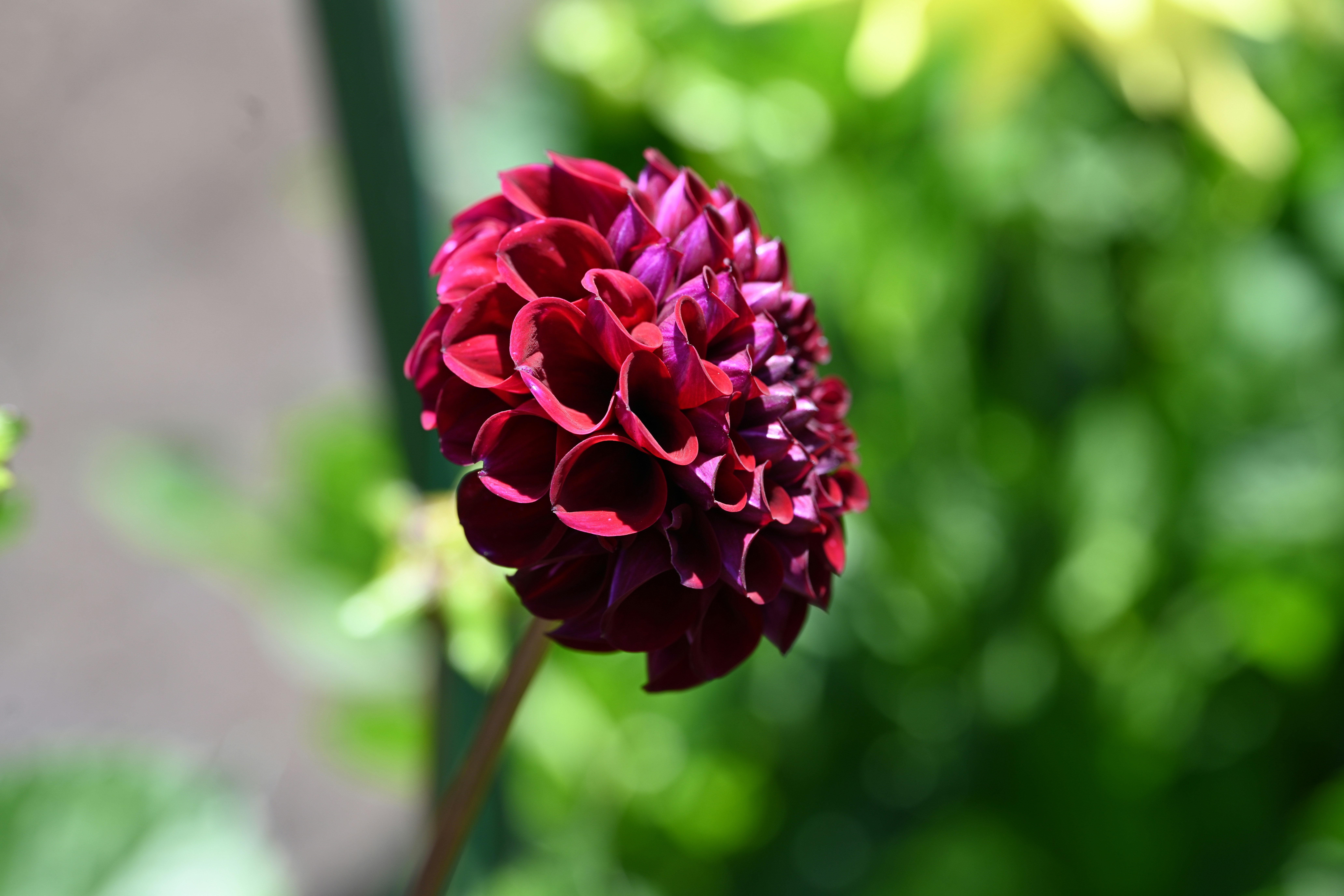 Photo by theunknownaldiaz