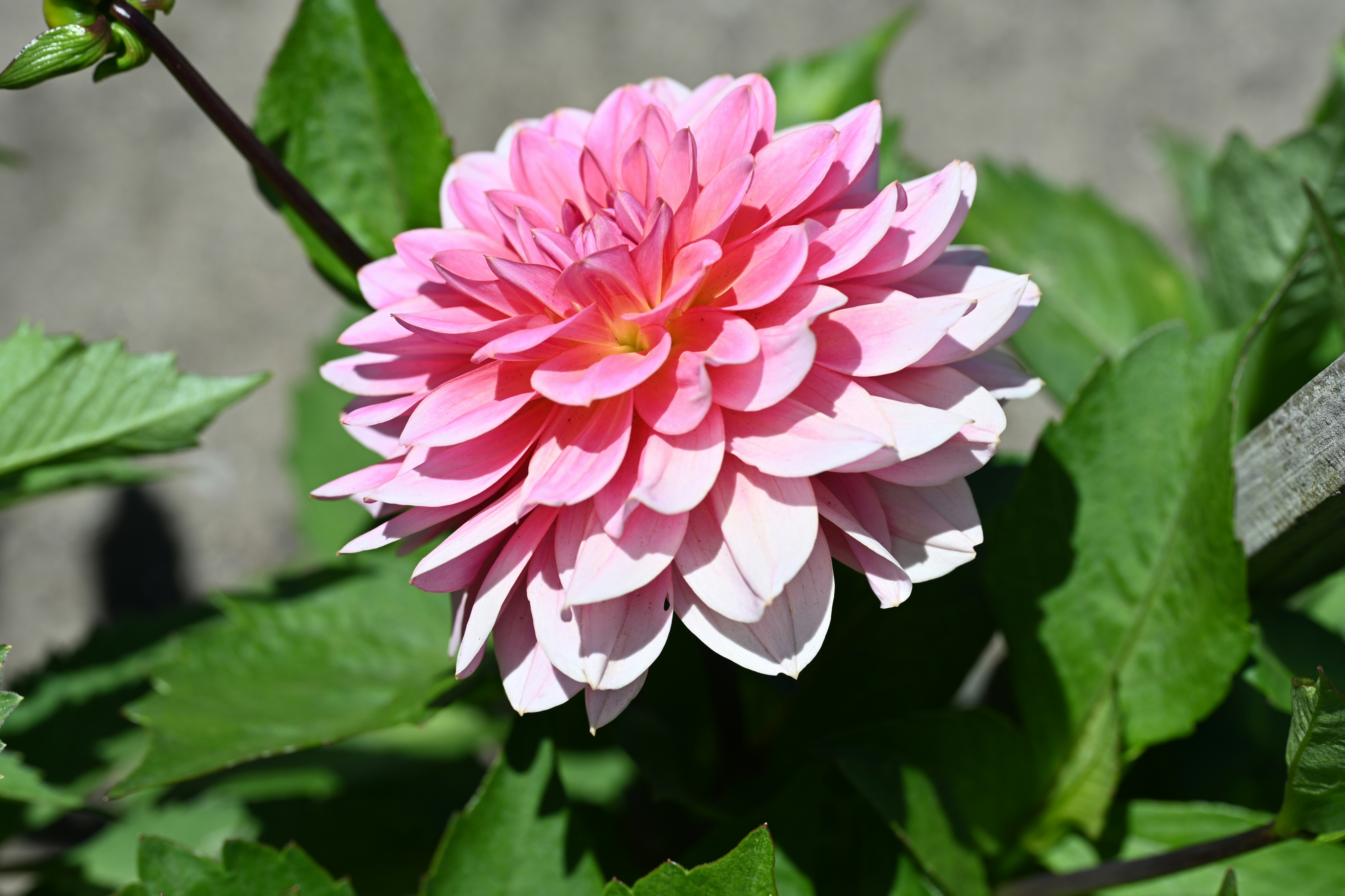 Photo by theunknownaldiaz