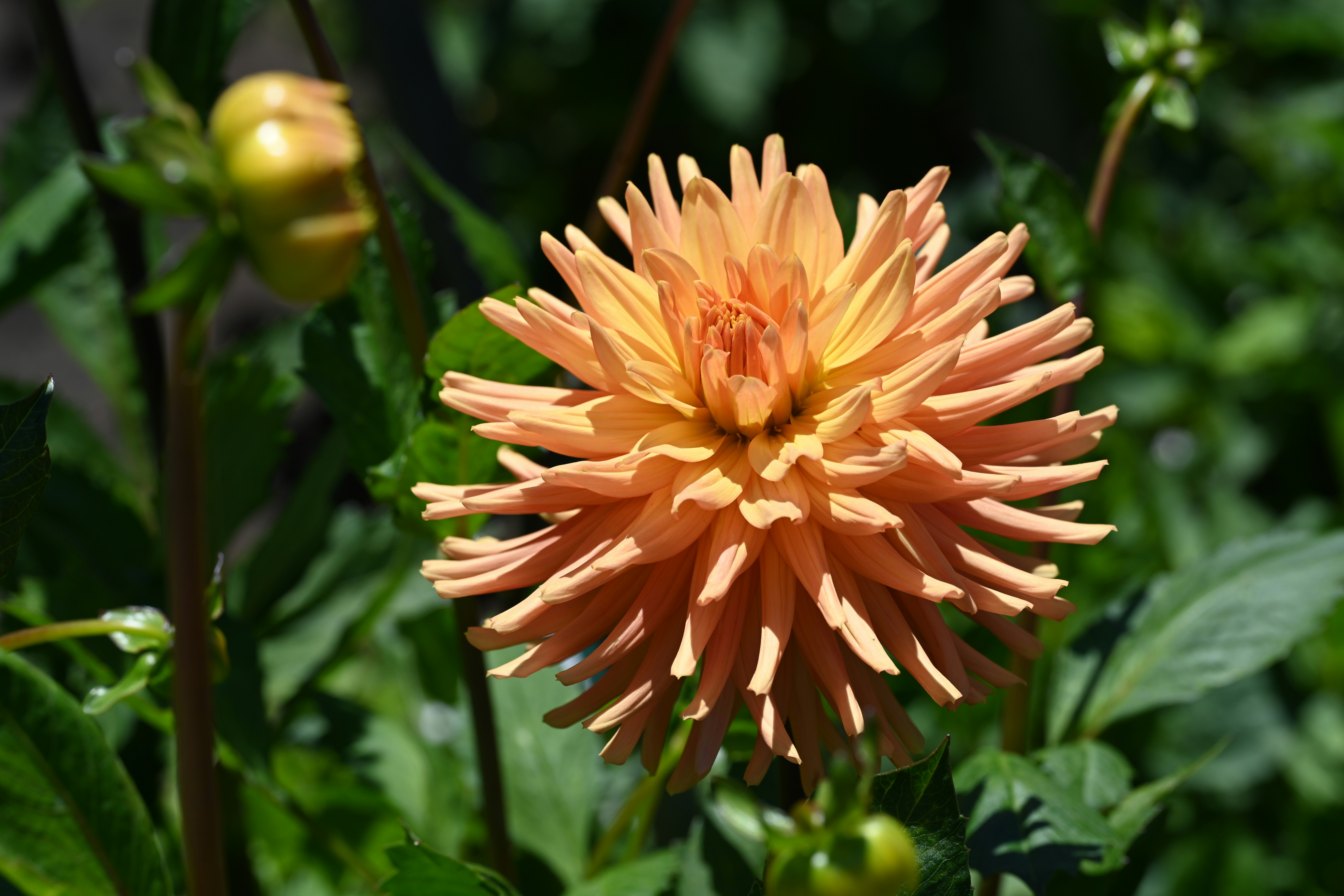 Photo by theunknownaldiaz