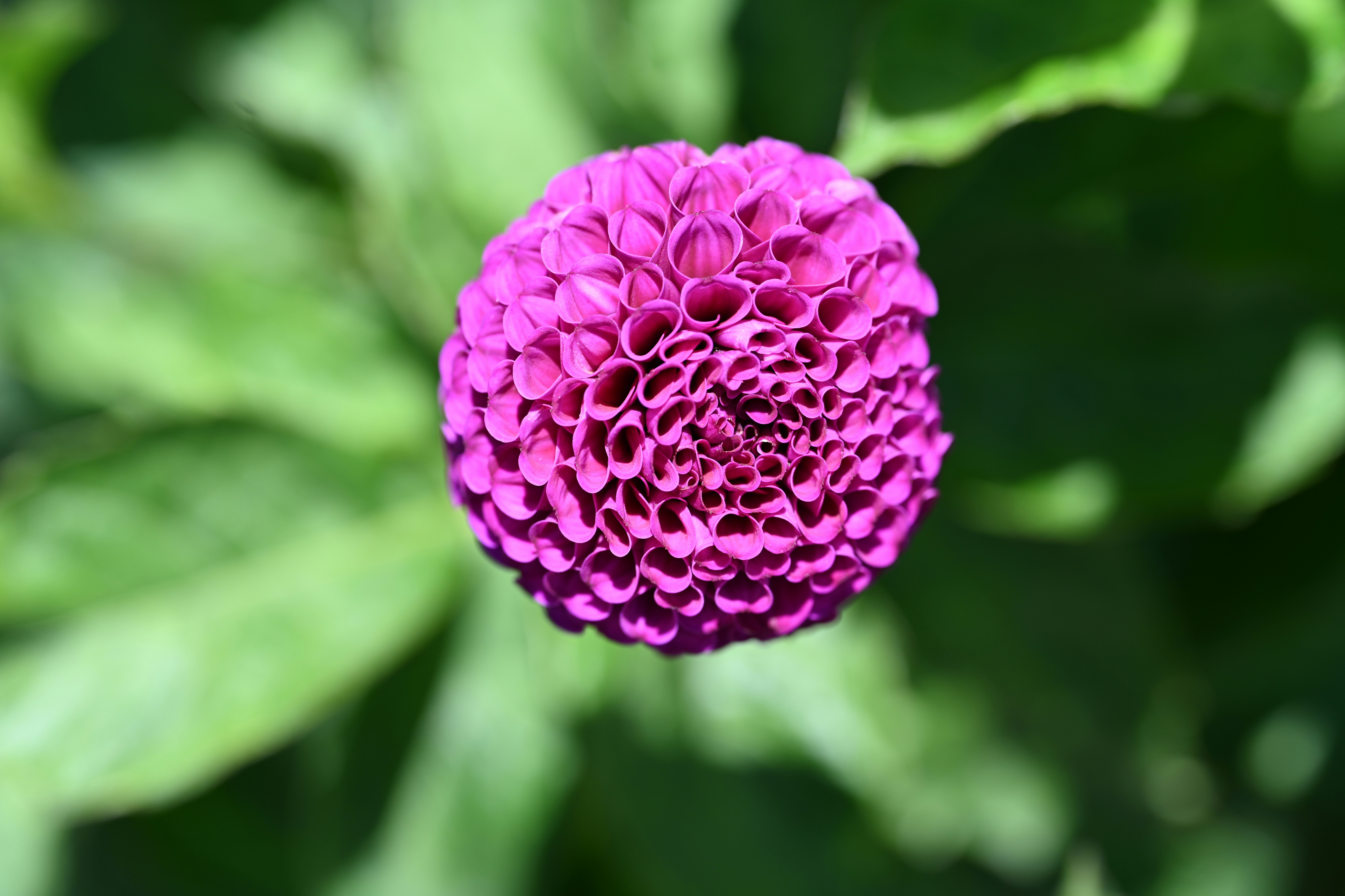 Photo by theunknownaldiaz