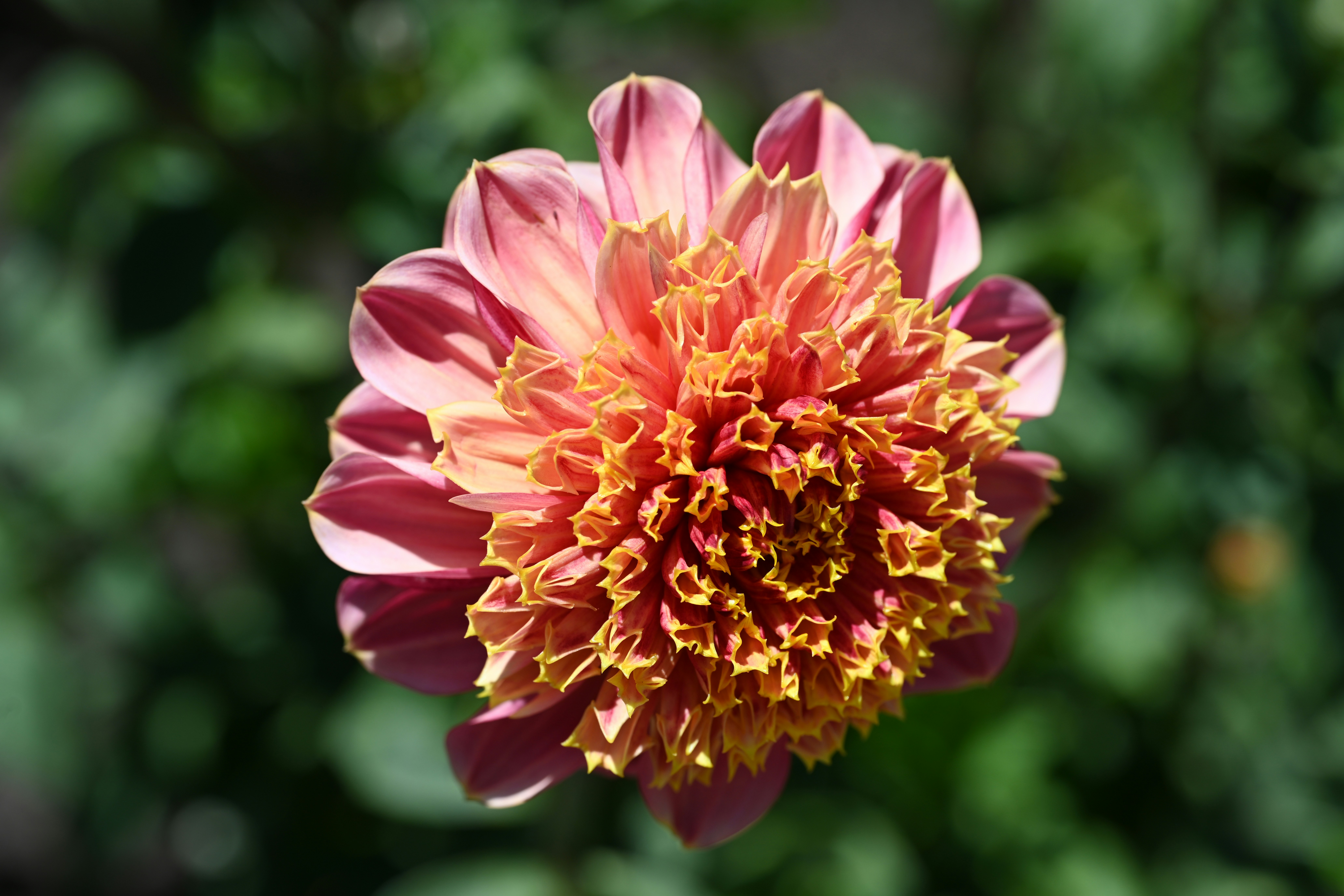 Photo by theunknownaldiaz