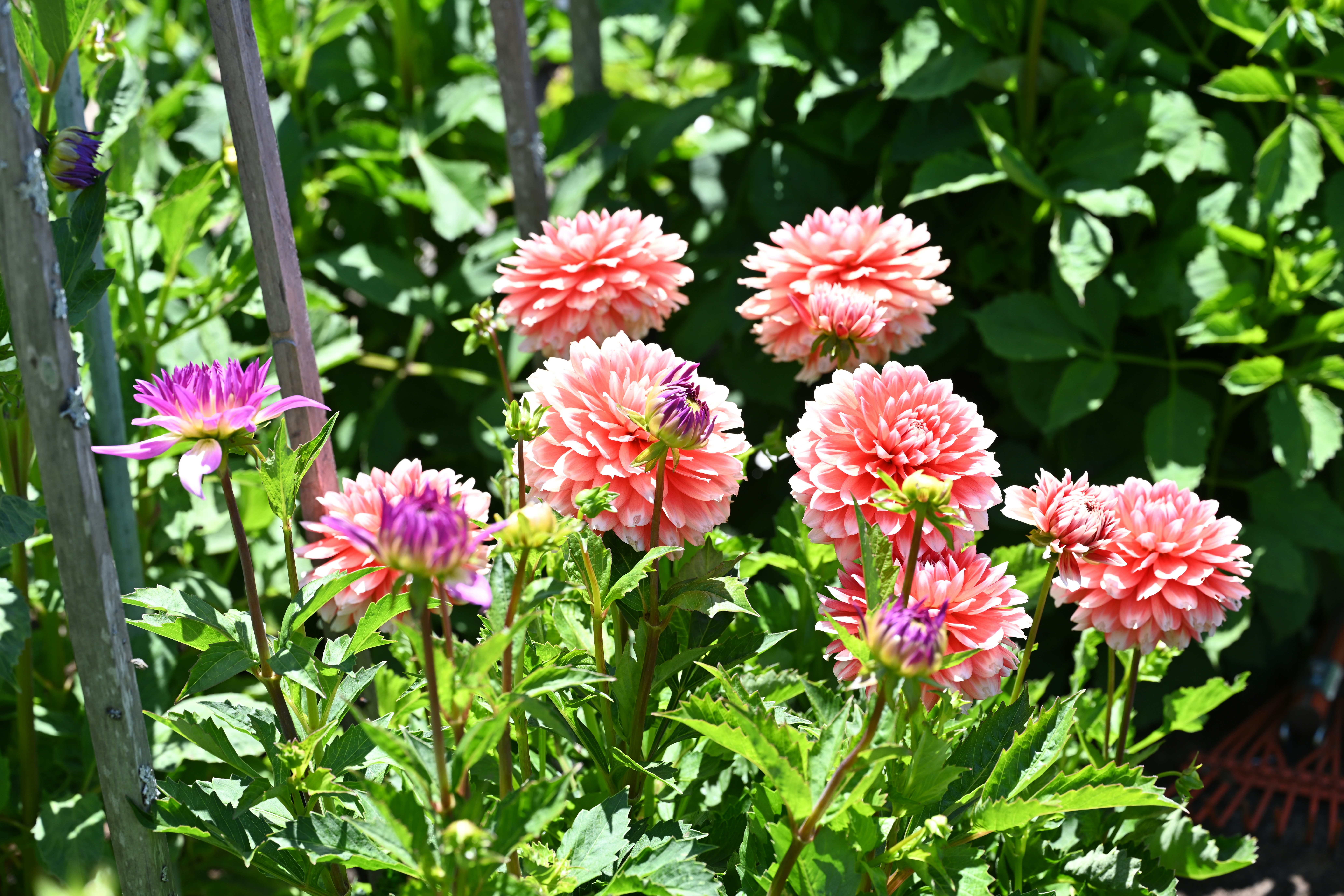 Photo by theunknownaldiaz