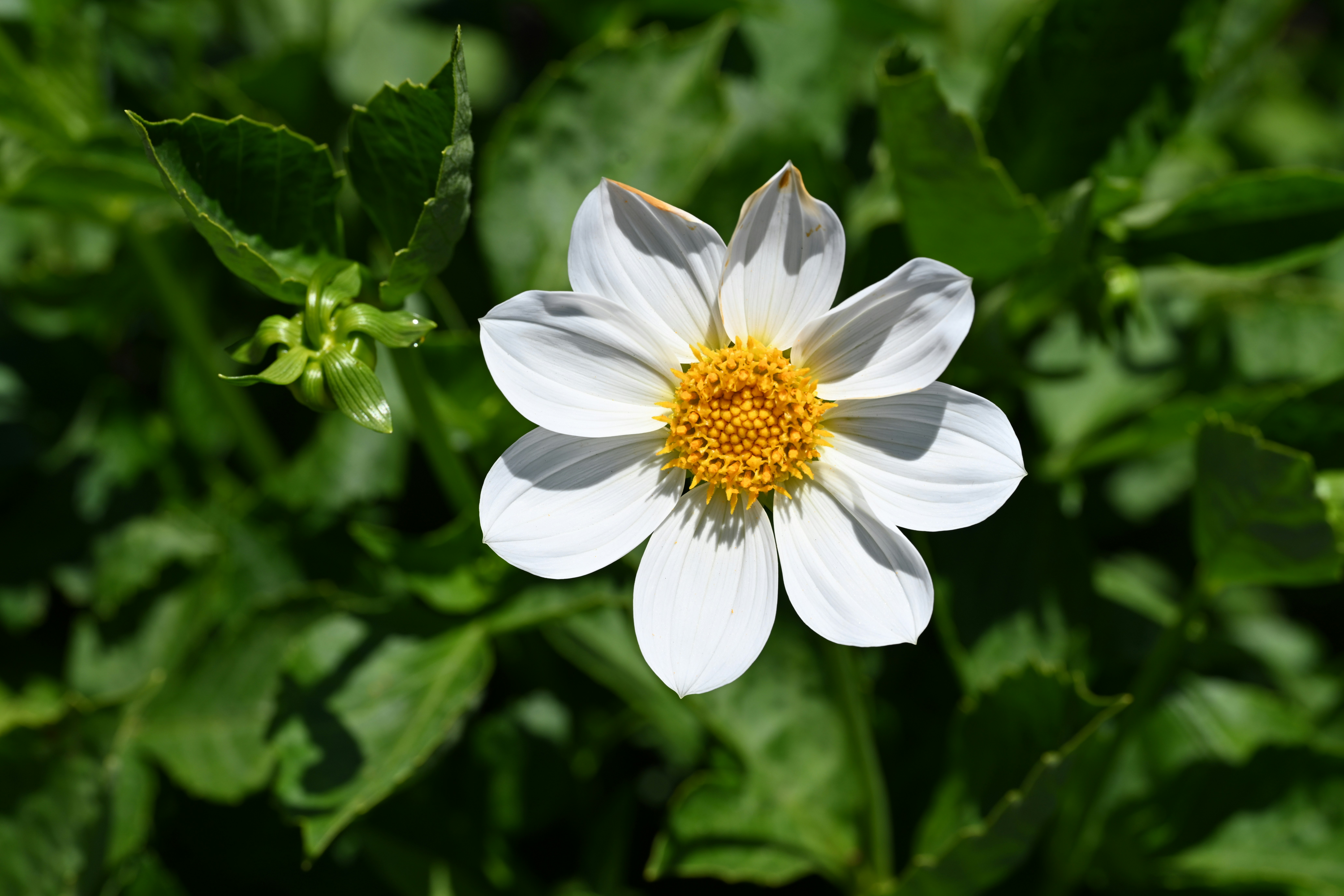 Photo by theunknownaldiaz