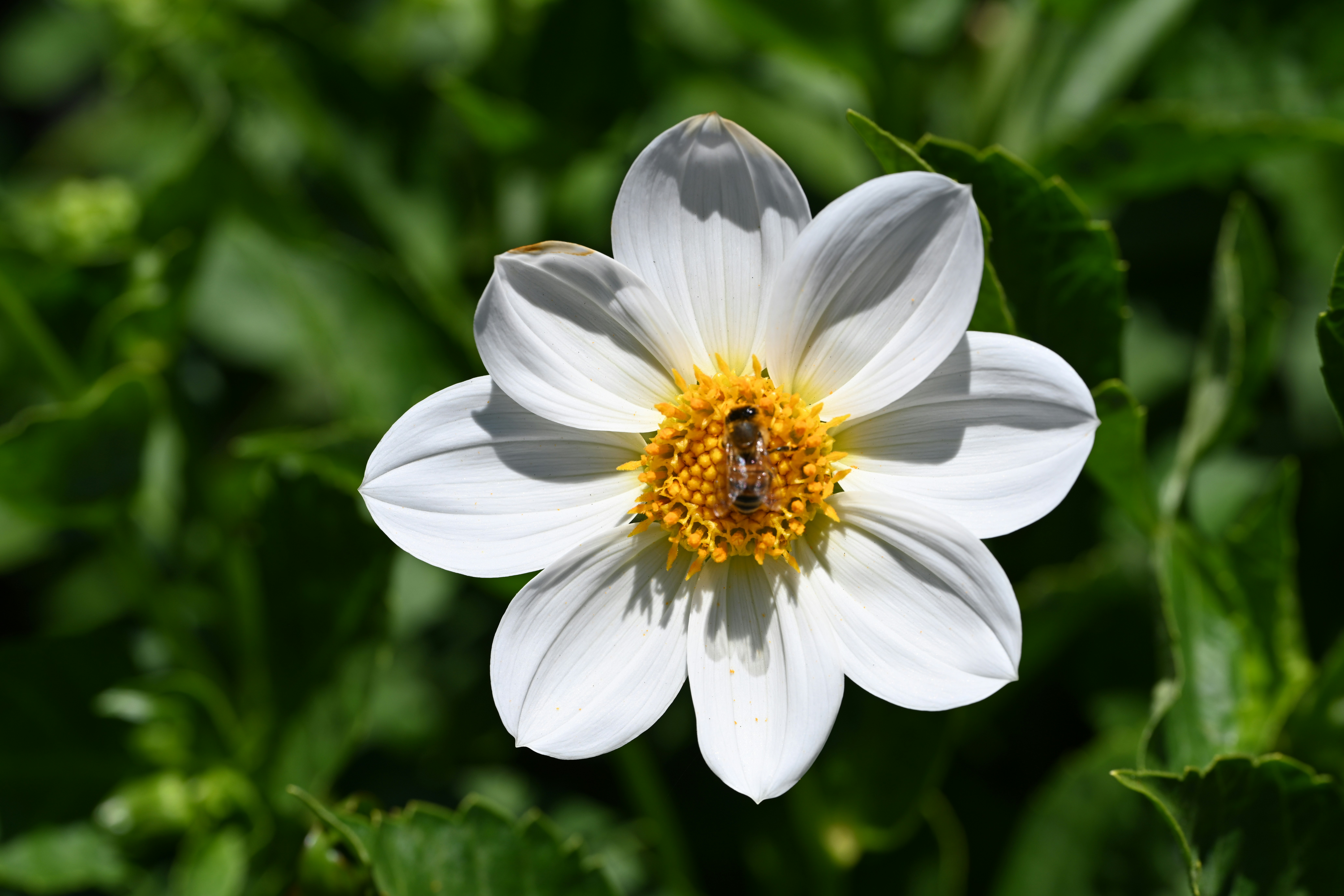 Photo by theunknownaldiaz