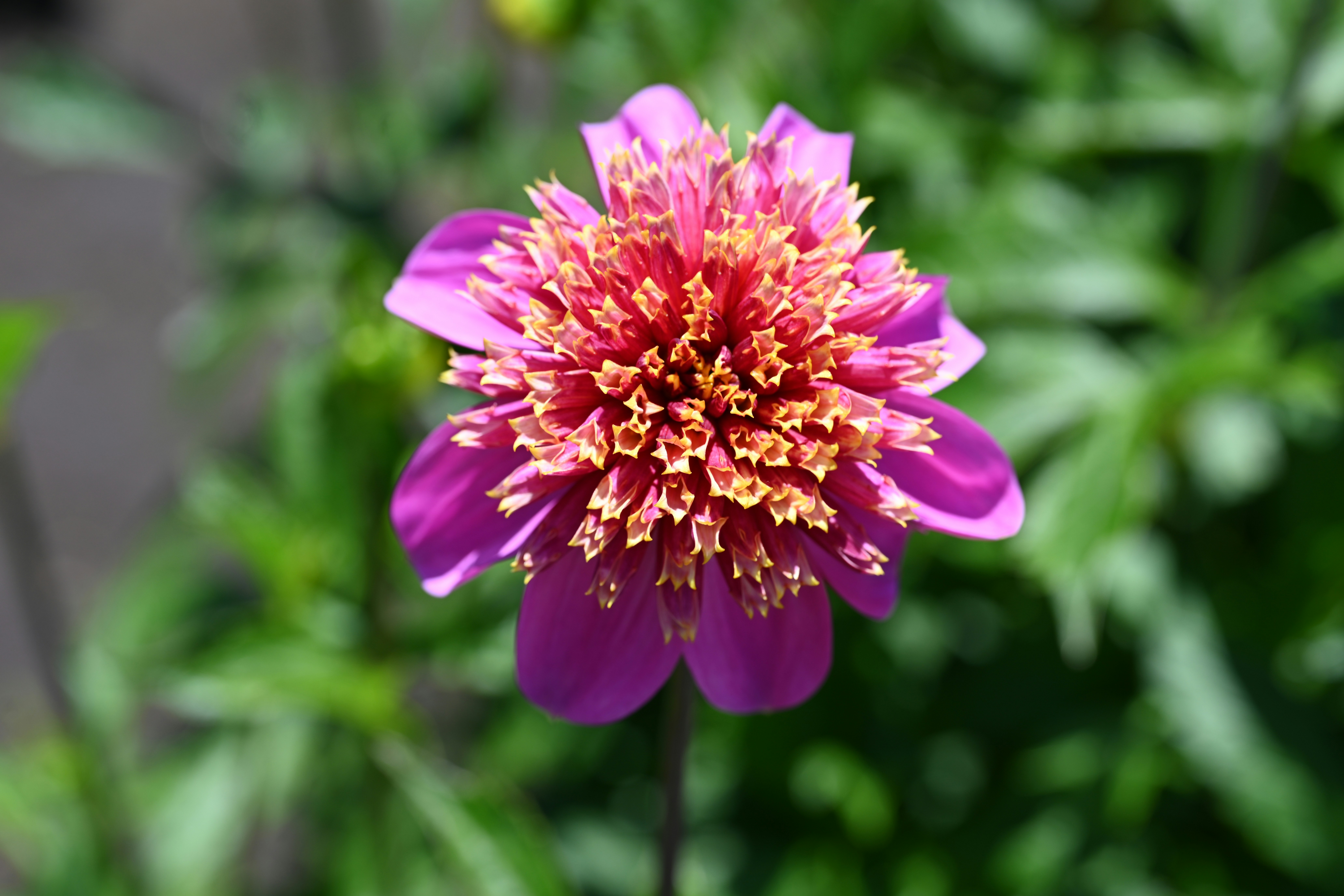 Photo by theunknownaldiaz