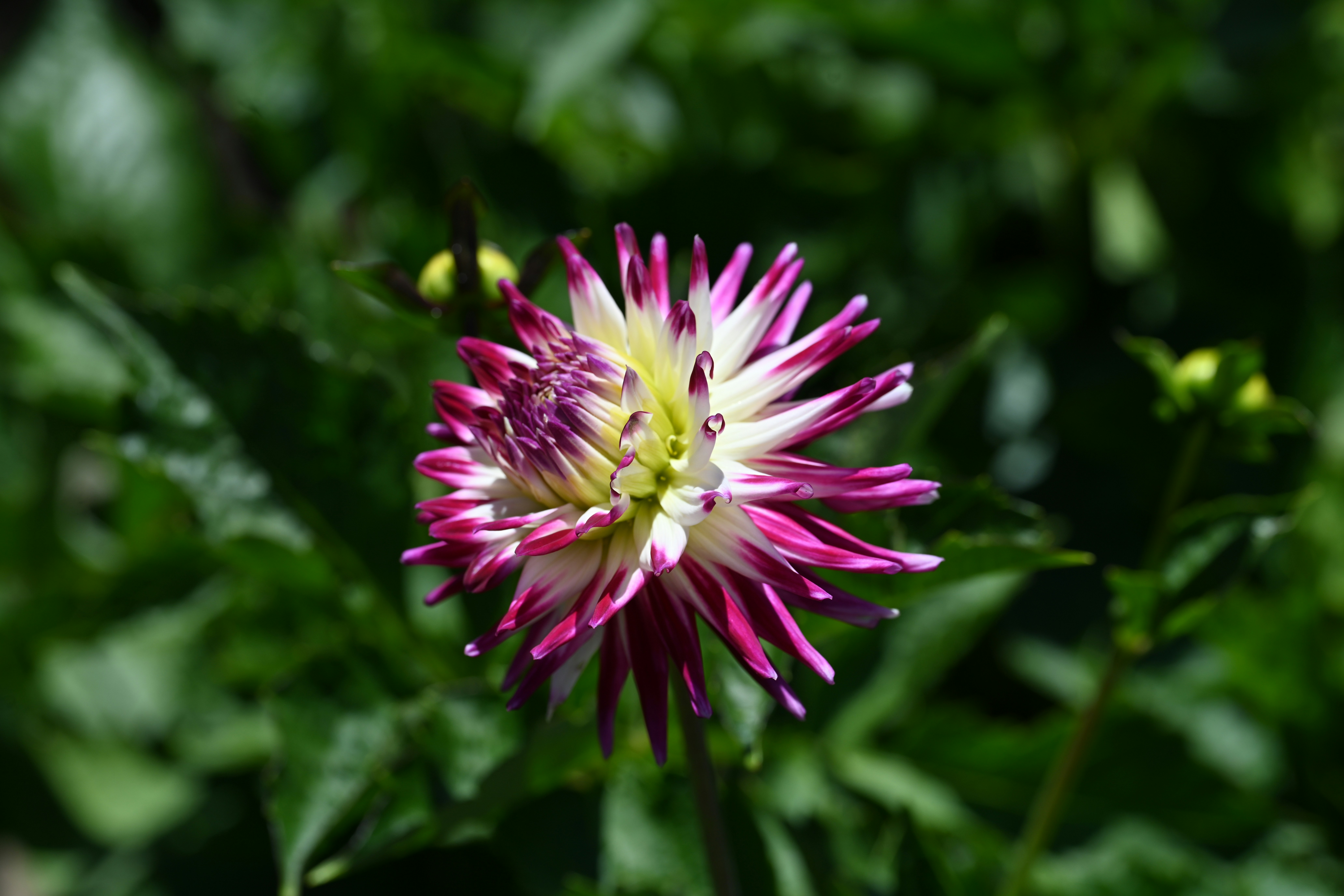 Photo by theunknownaldiaz