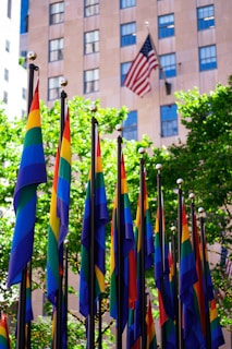 Numerous rainbow flags are displayed, lined up prominently in front of a row of buildings. A United States flag is visible in the background, and lush green trees contribute to the vibrant scene.