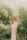 Two hands are reaching upward, surrounded by a natural, blurred green background. The focus is on the hands, which appear gentle and graceful, suggesting themes of connection or reaching out.