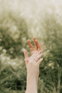 Two hands are reaching upward, surrounded by a natural, blurred green background. The focus is on the hands, which appear gentle and graceful, suggesting themes of connection or reaching out.
