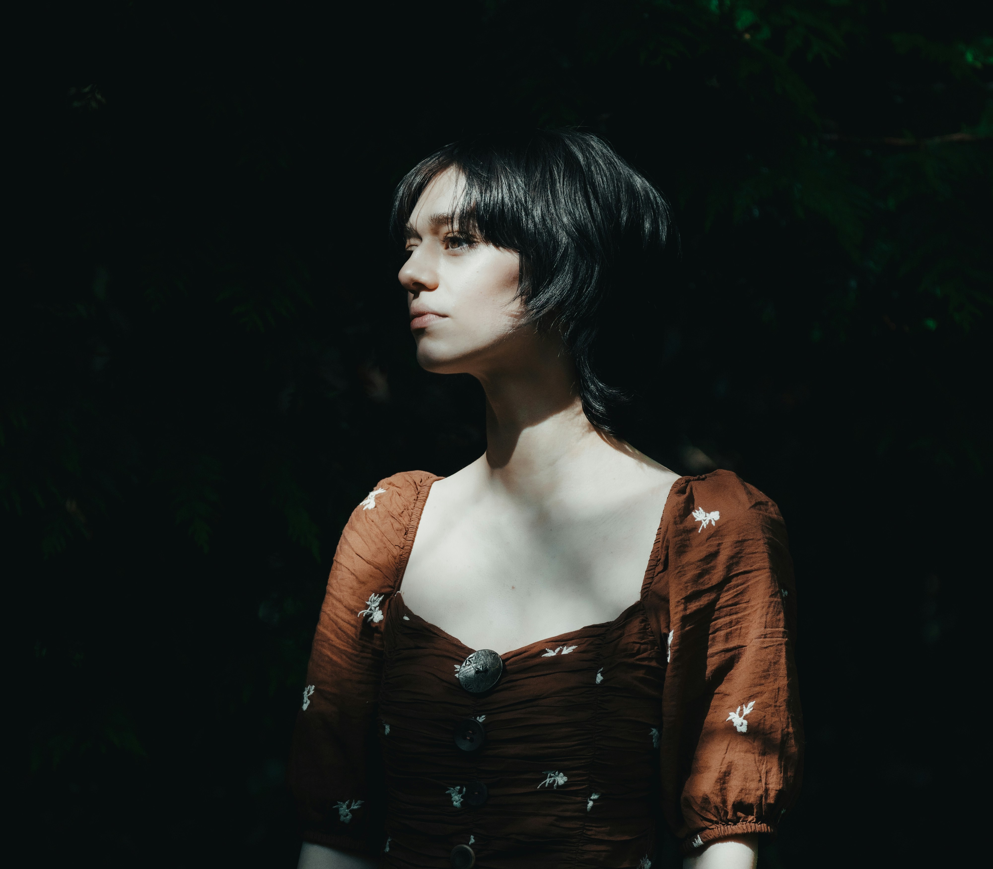 The Role of Equanimity in Emotional Regulation