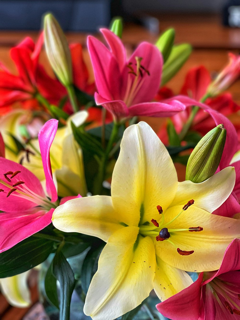 a group of colorful flowers