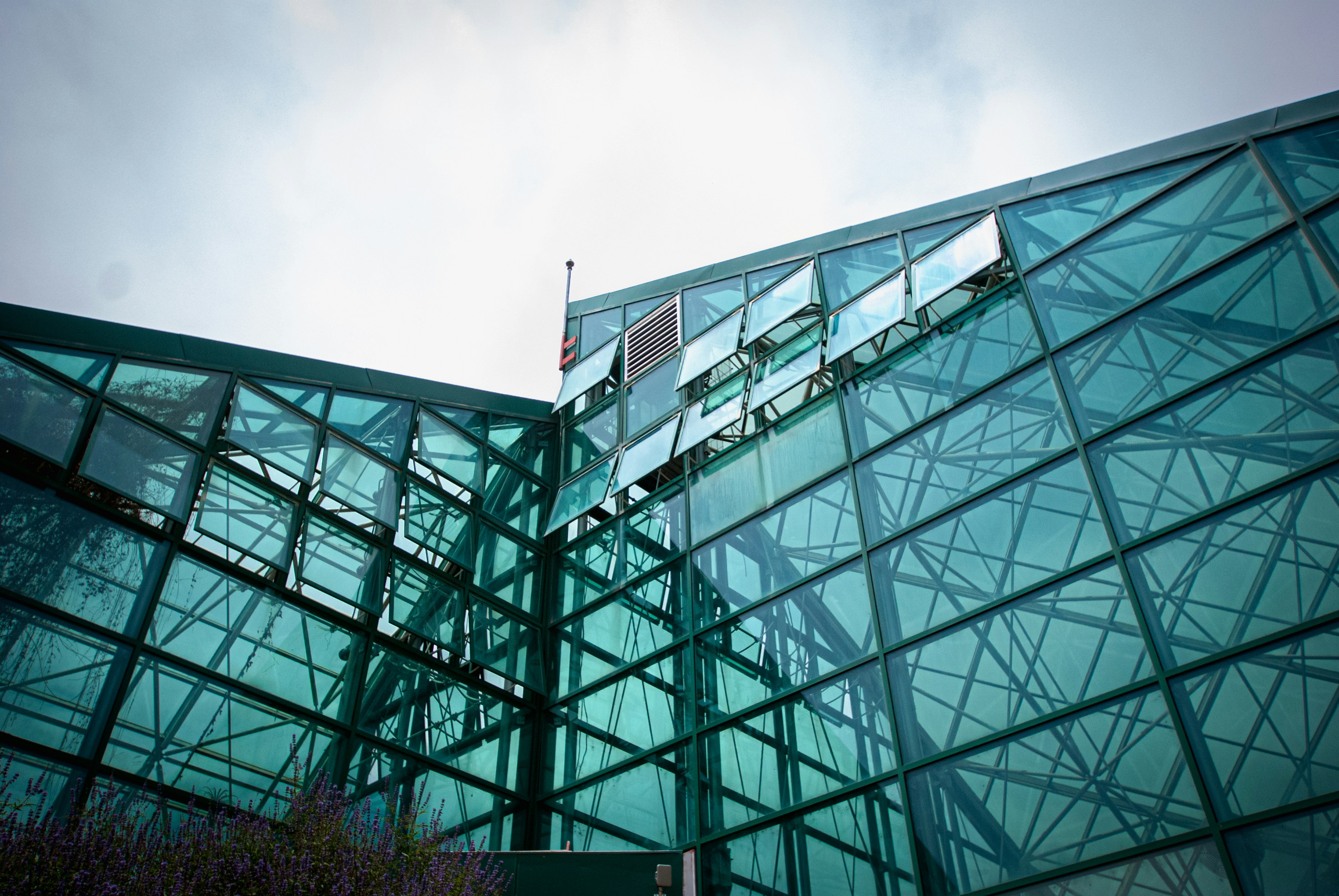 Photo by scottelkins