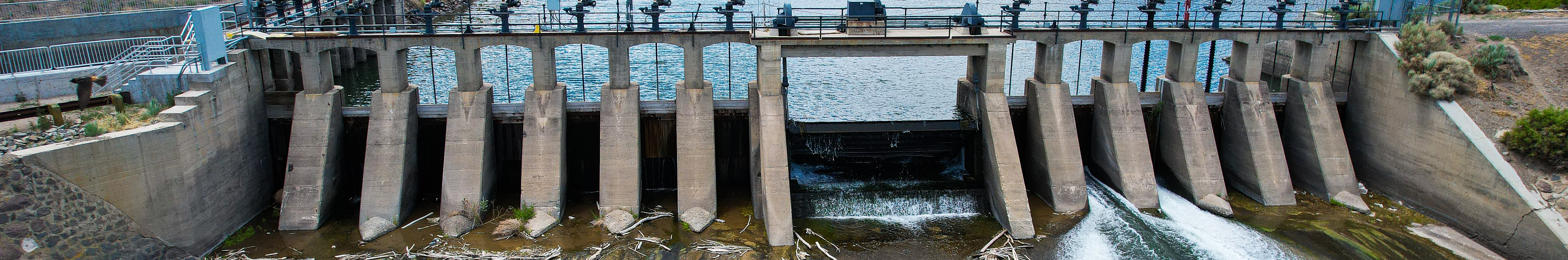 Kansai Electric Power's operations used an estimated 50,000 ha of land, affecting biodiversity