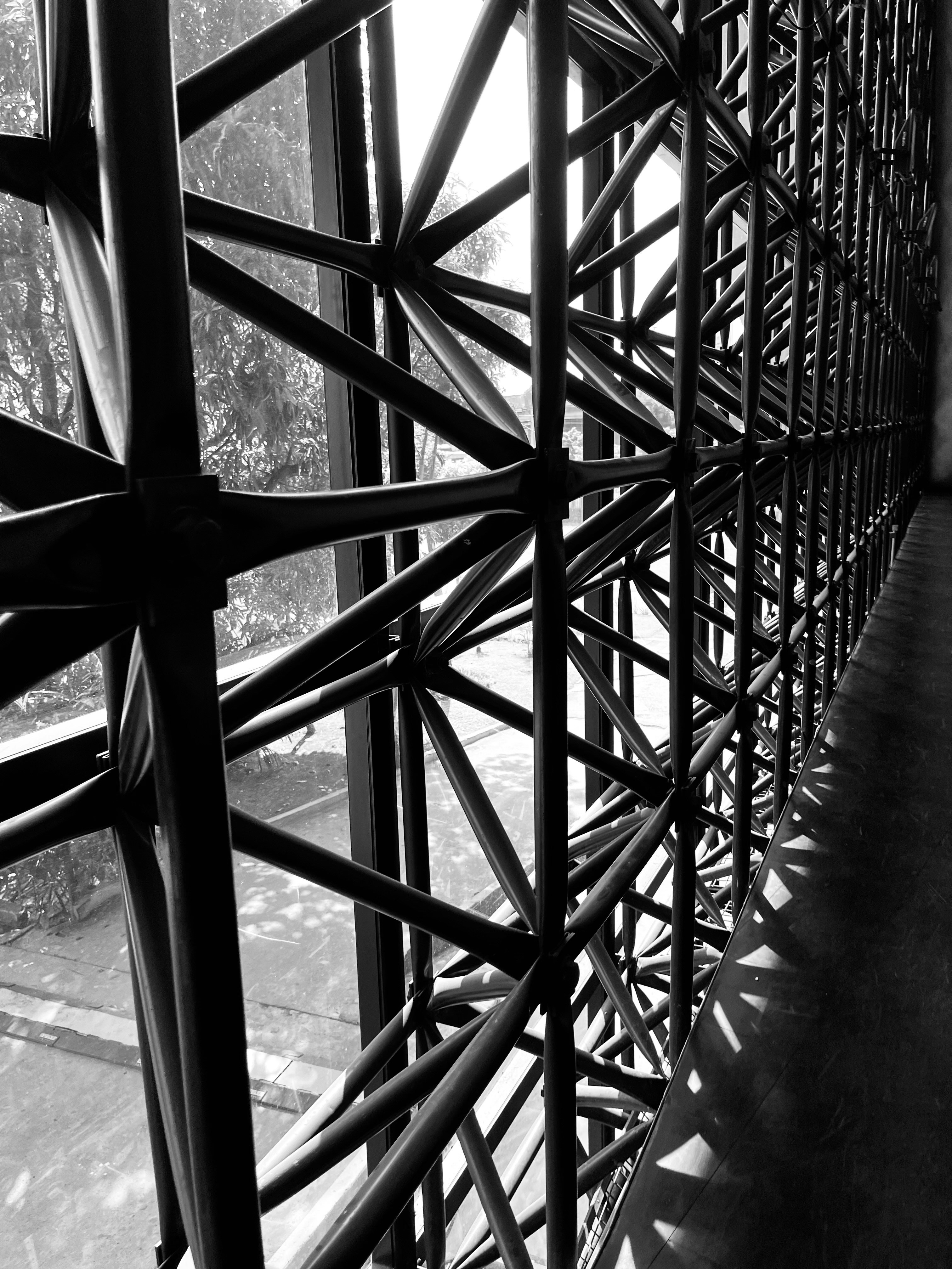 Photo by barbarareis