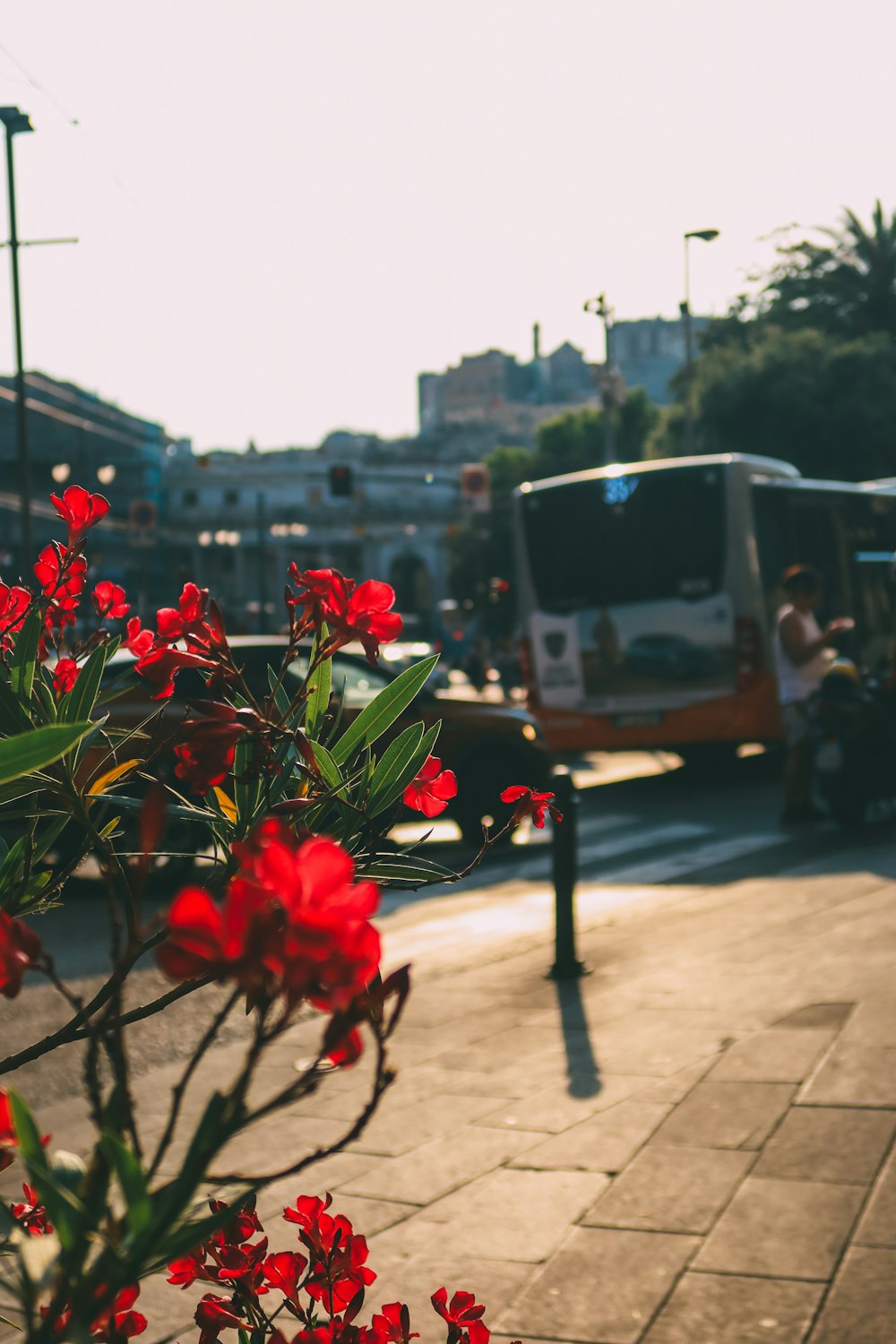 a group of people standing next to a bus