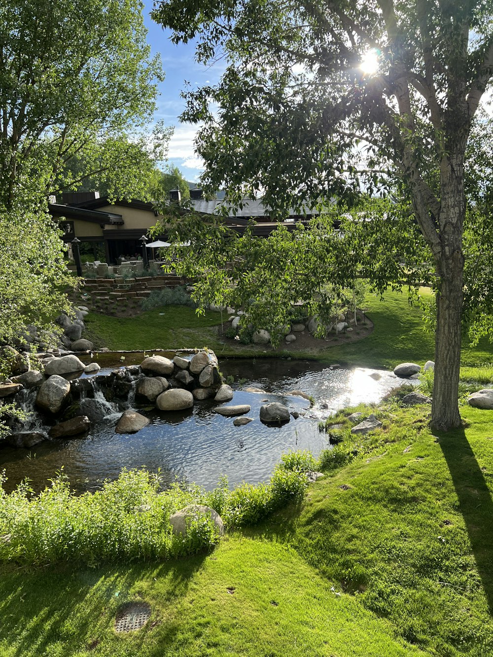 a pond with rocks and grass