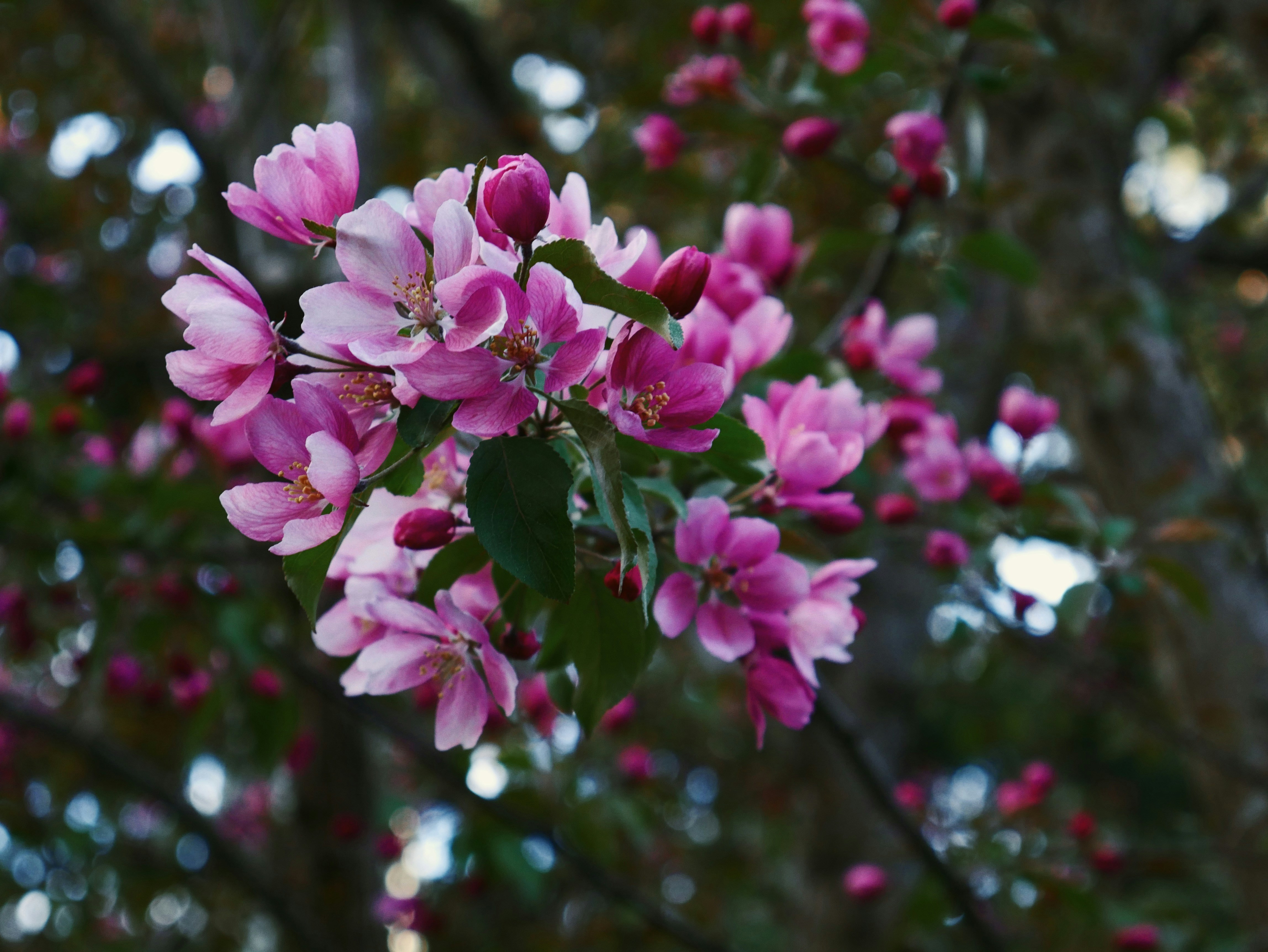 Photo by rainingsheep