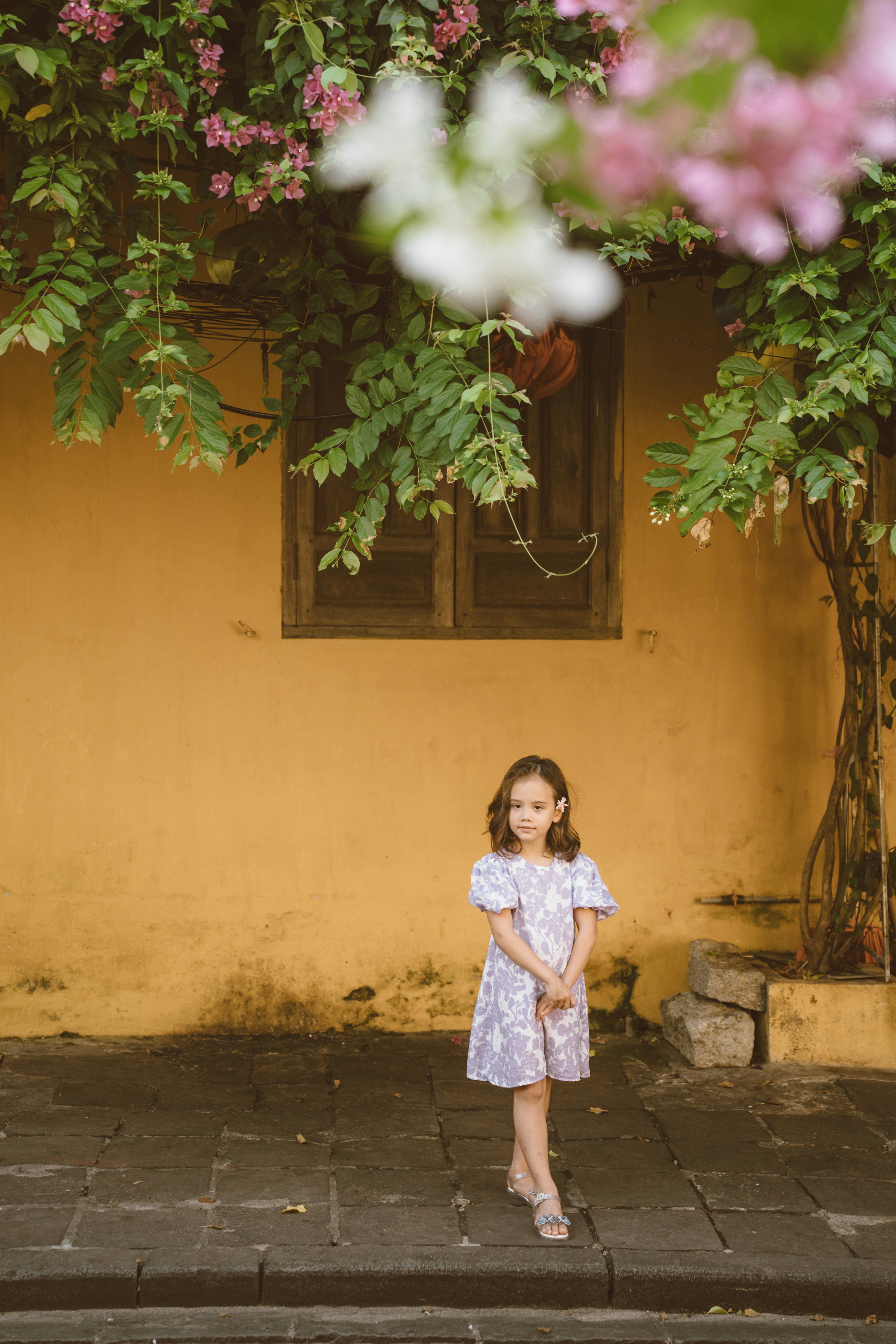 Photo by hoianphotographer