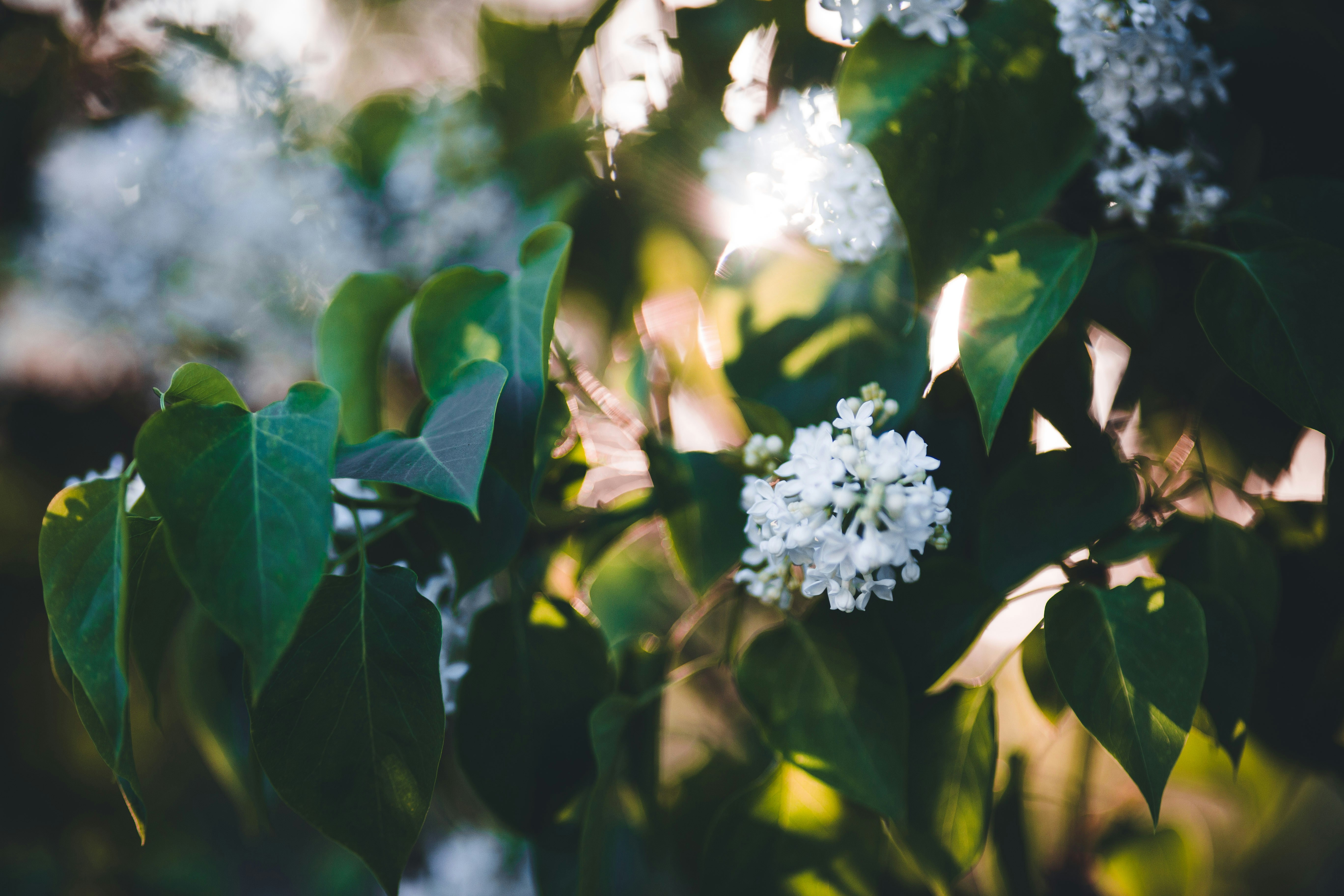 Photo by introspectivedsgn