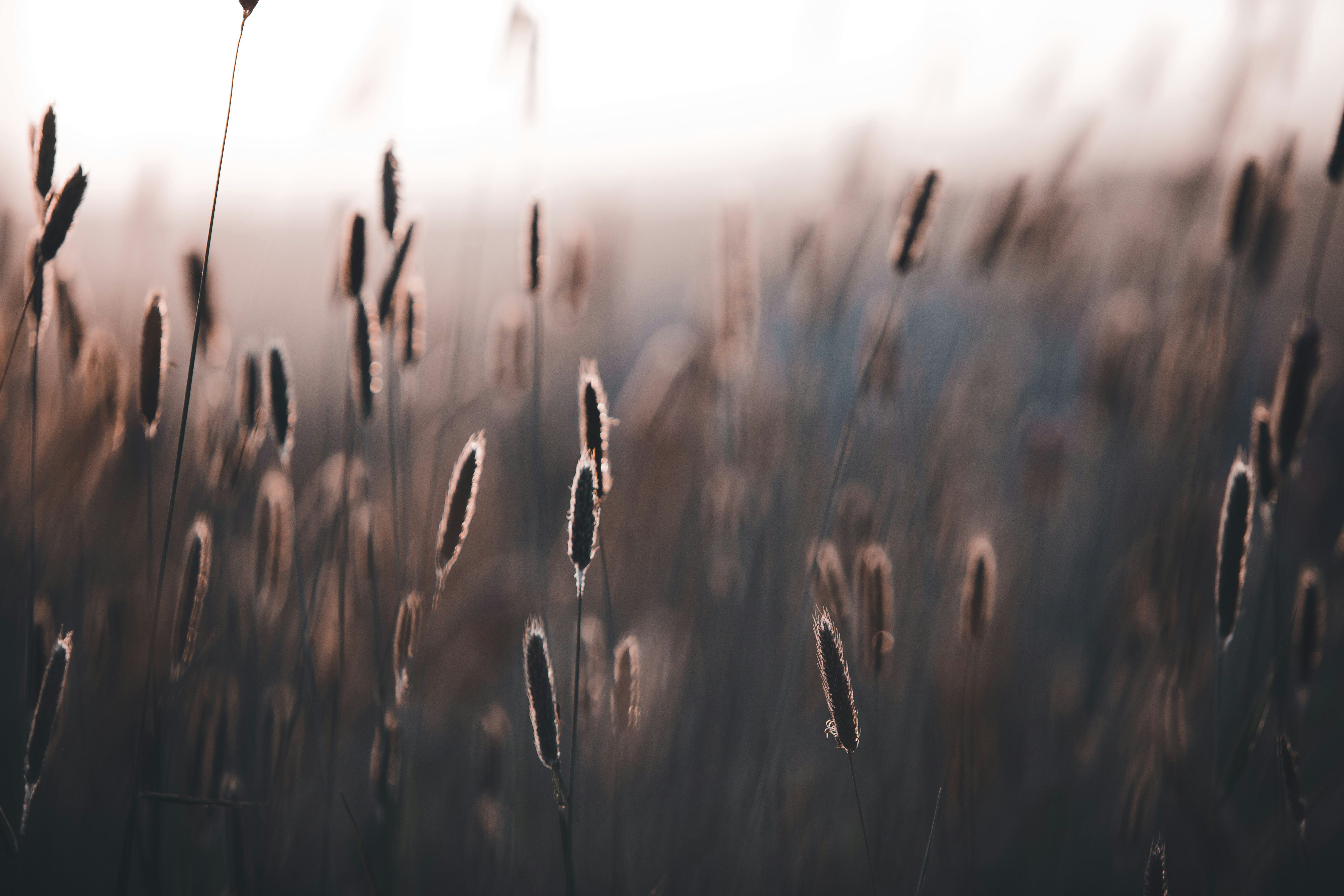 Photo by introspectivedsgn