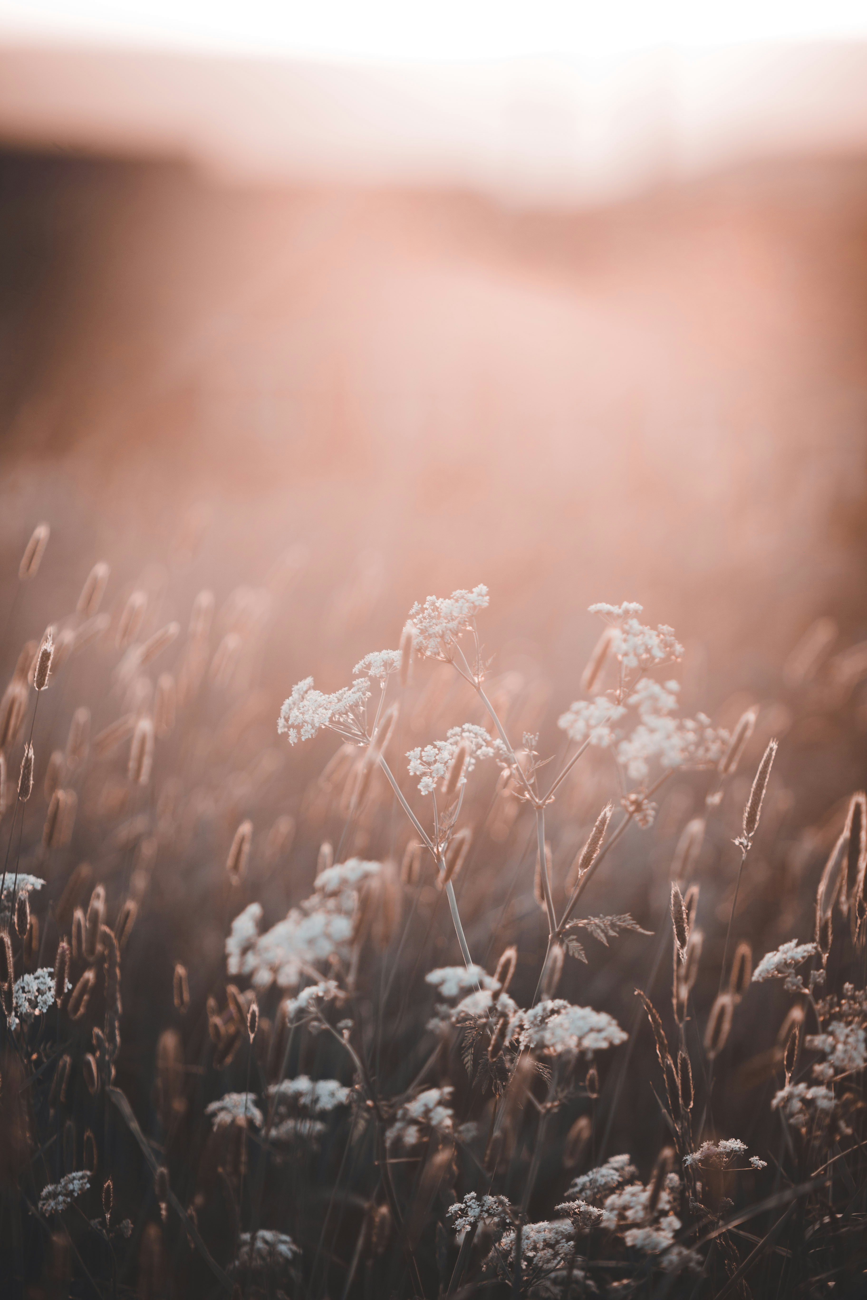 Photo by introspectivedsgn