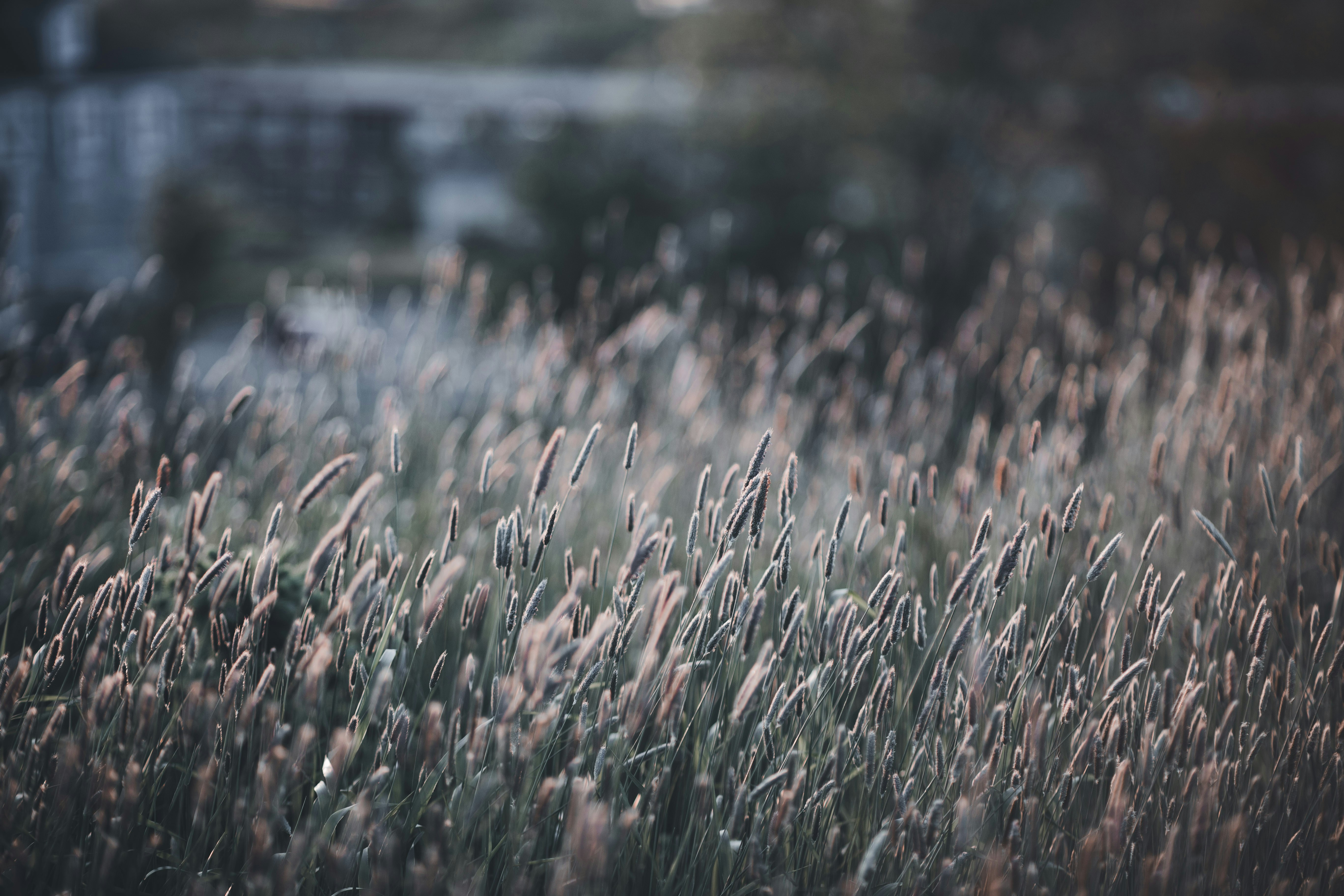 Photo by introspectivedsgn