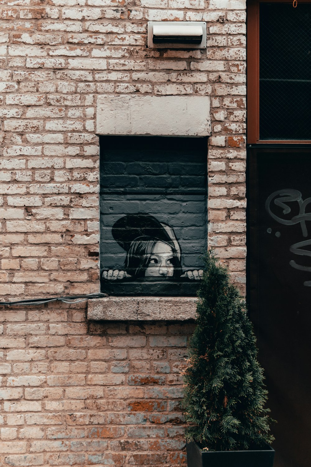 a cat looking out a window