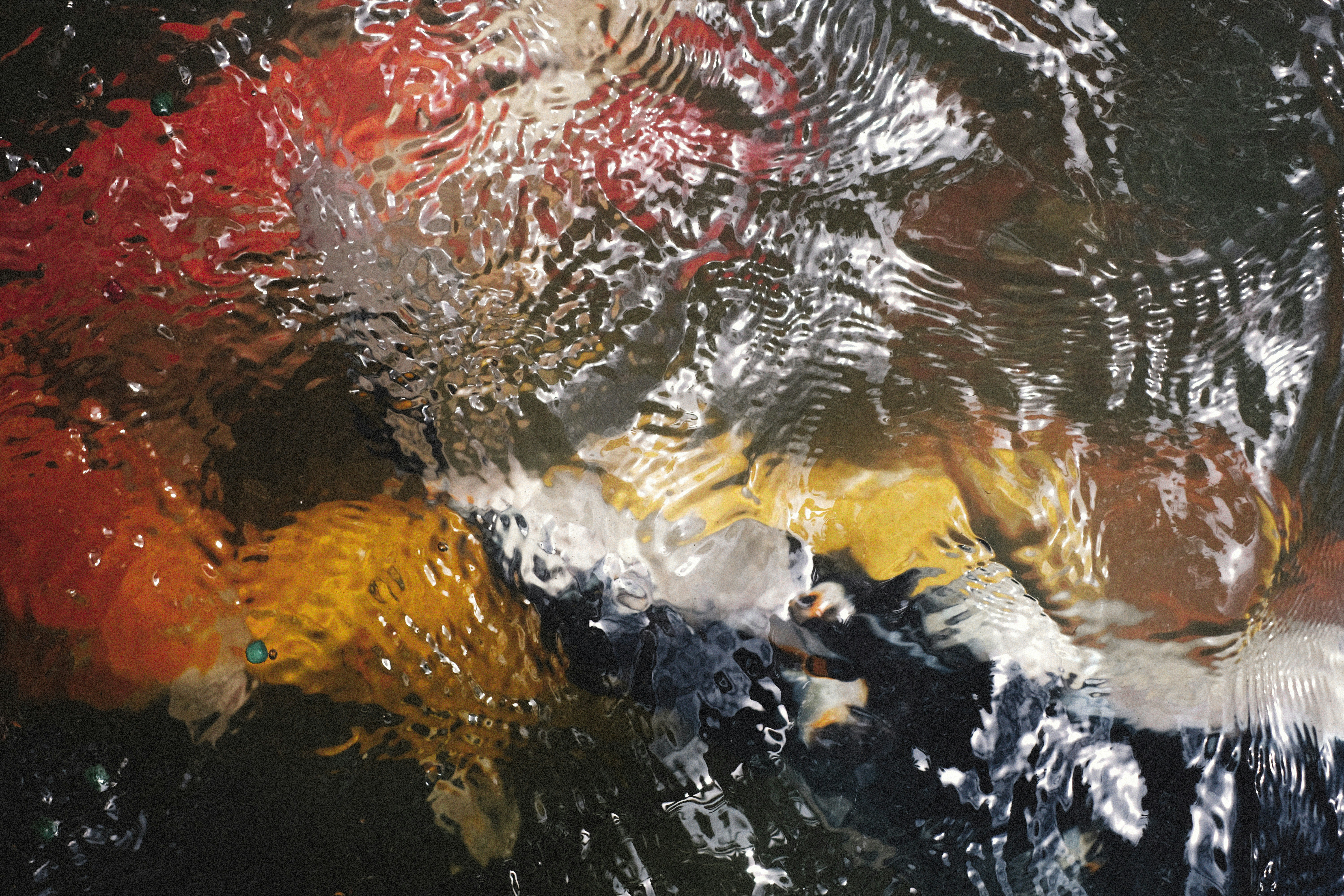 Photo by alexeydemidov