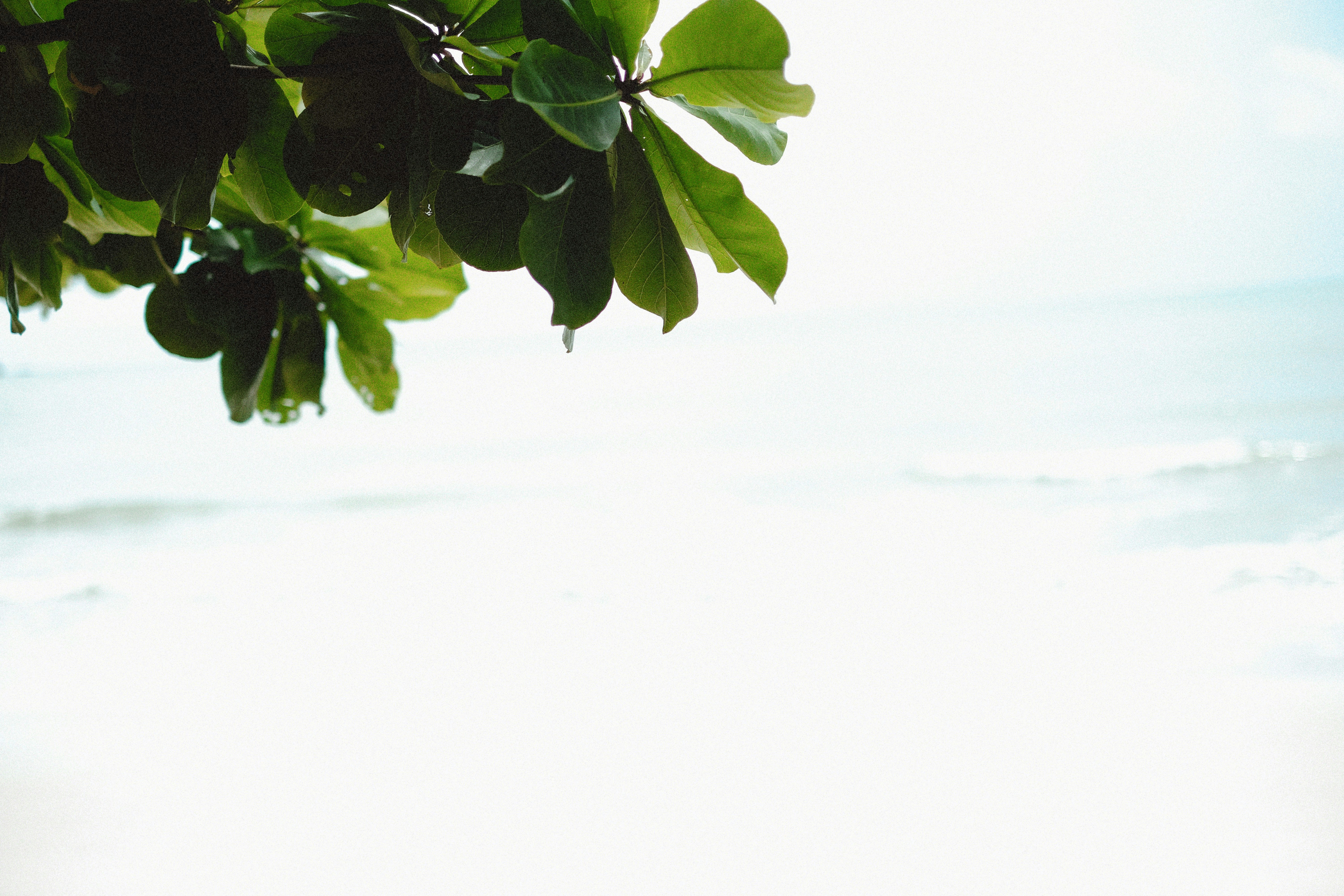 Photo by alexeydemidov