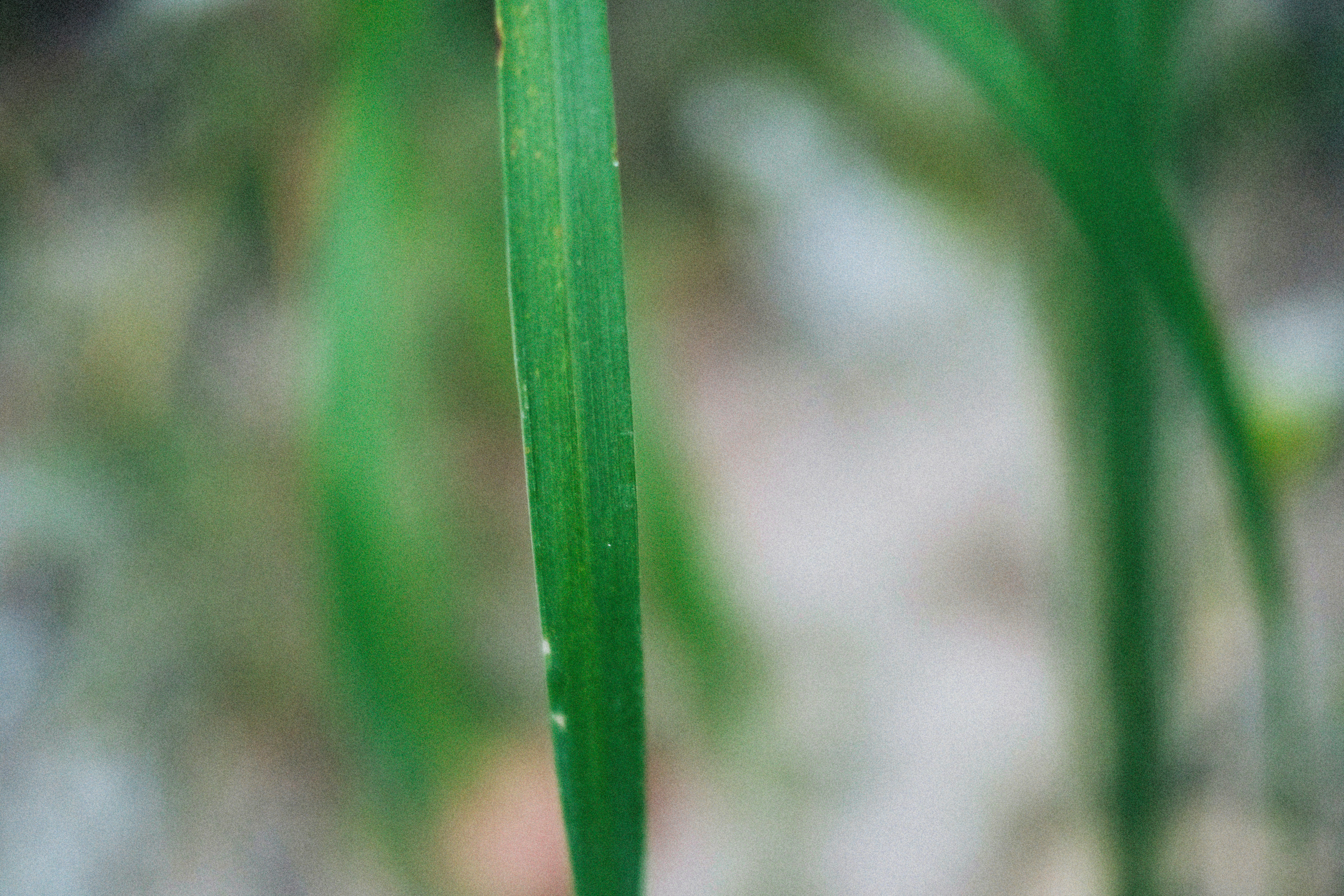 Photo by alexeydemidov