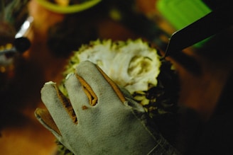 A gloved hand is holding a durian on a wooden surface. A knife is positioned near the durian, suggesting it is about to be cut open. The scene is dimly lit, with shadows creating a focused and slightly mysterious atmosphere.