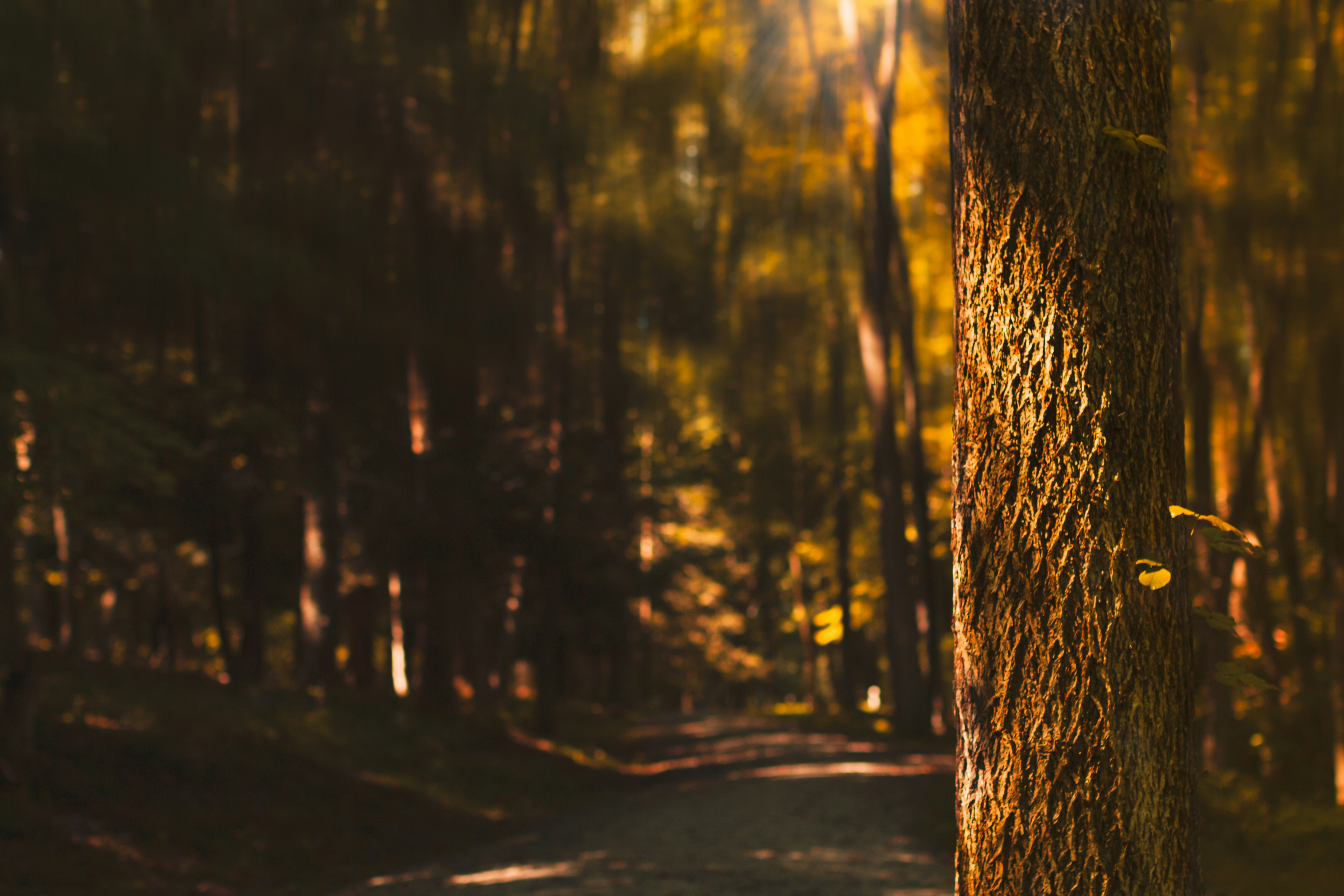 Photo by emmanuelphaeton