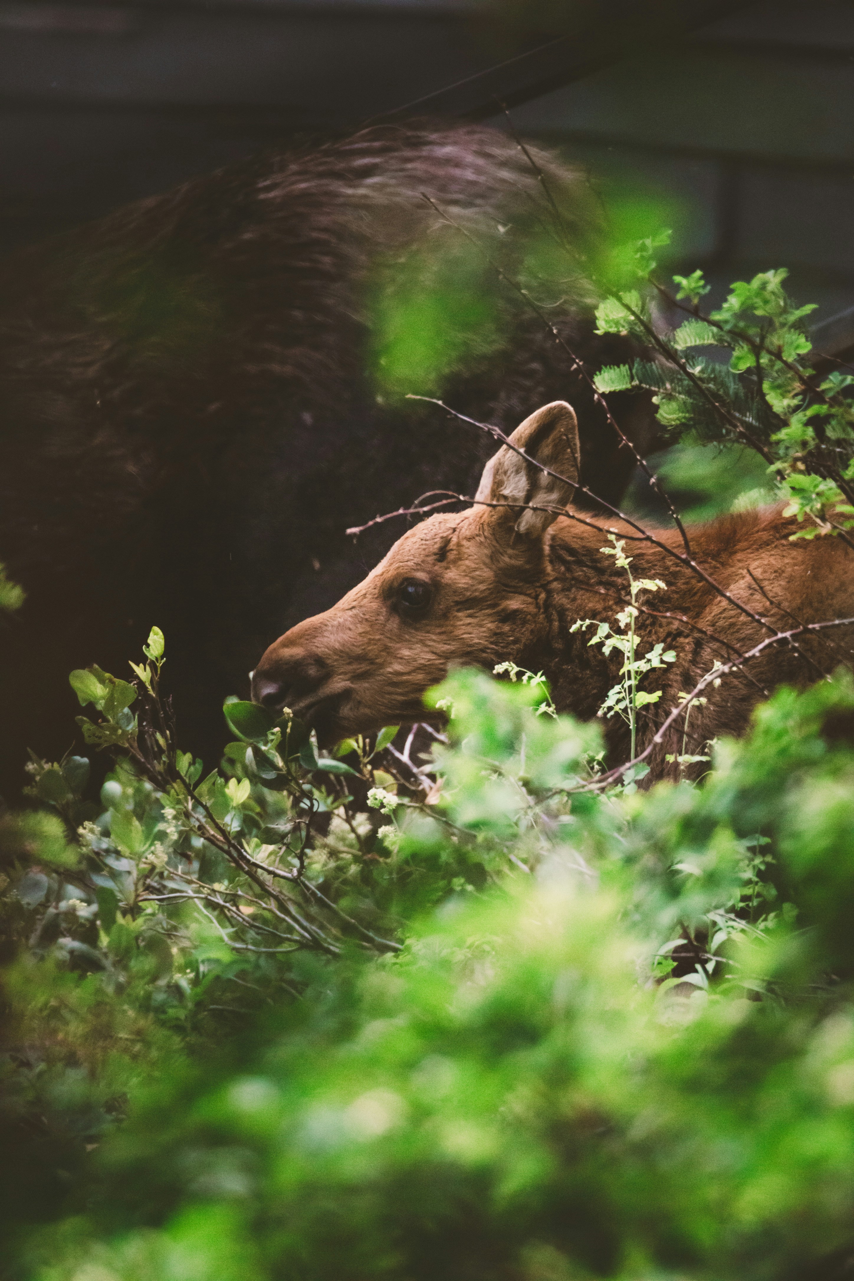 Photo by worldsbetweenlines