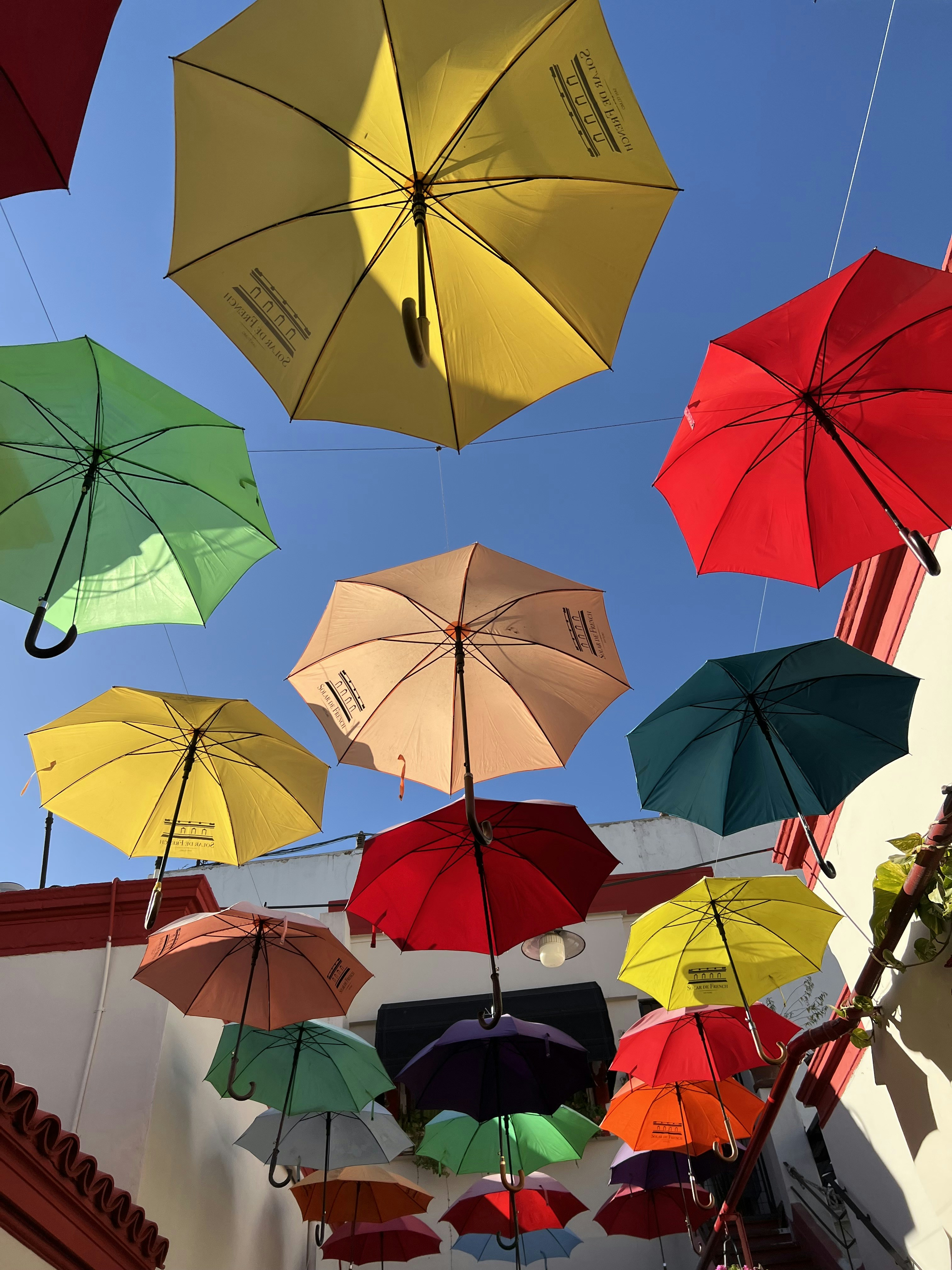 Photo by valenfilippin