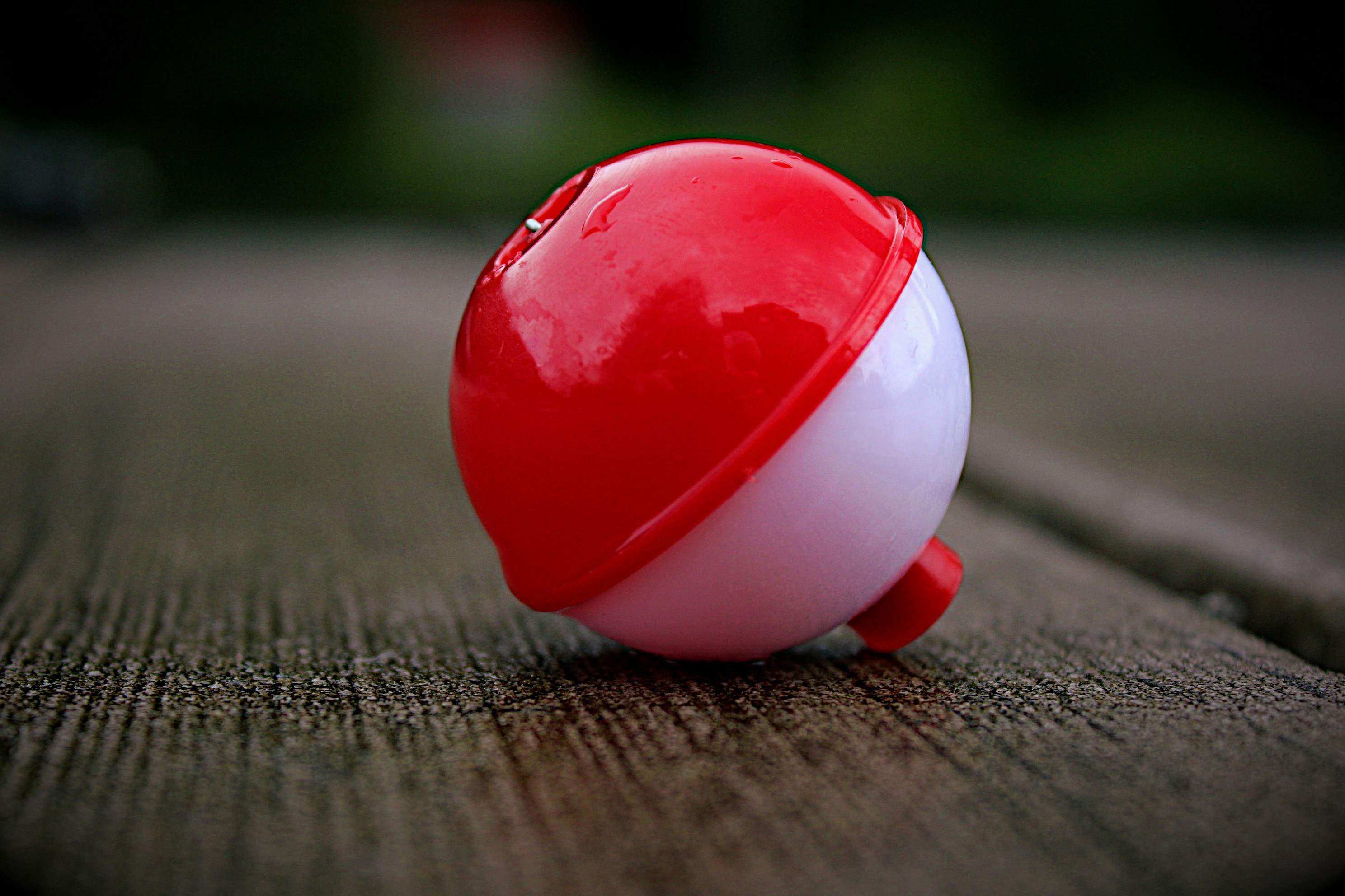 Photo by isaacstevenlind