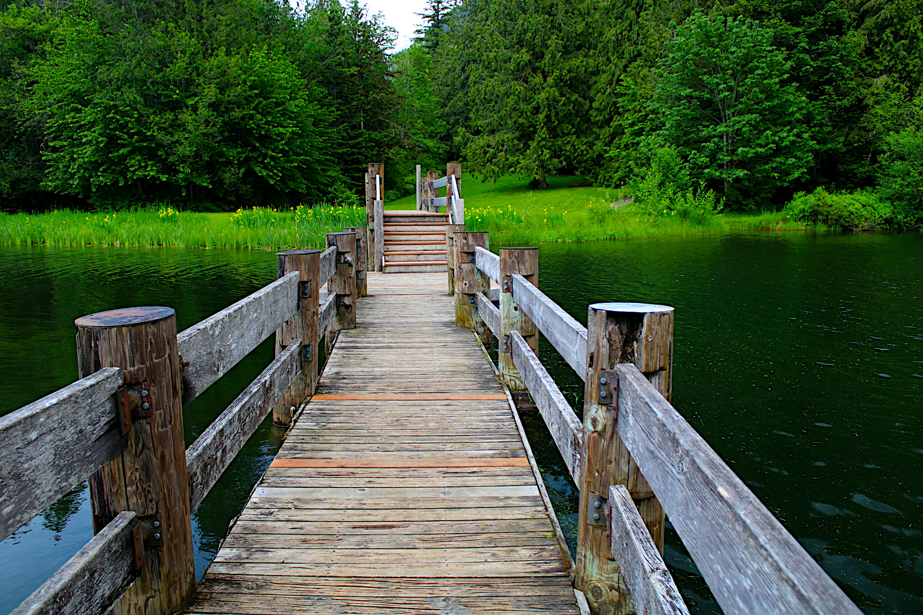 Photo by isaacstevenlind