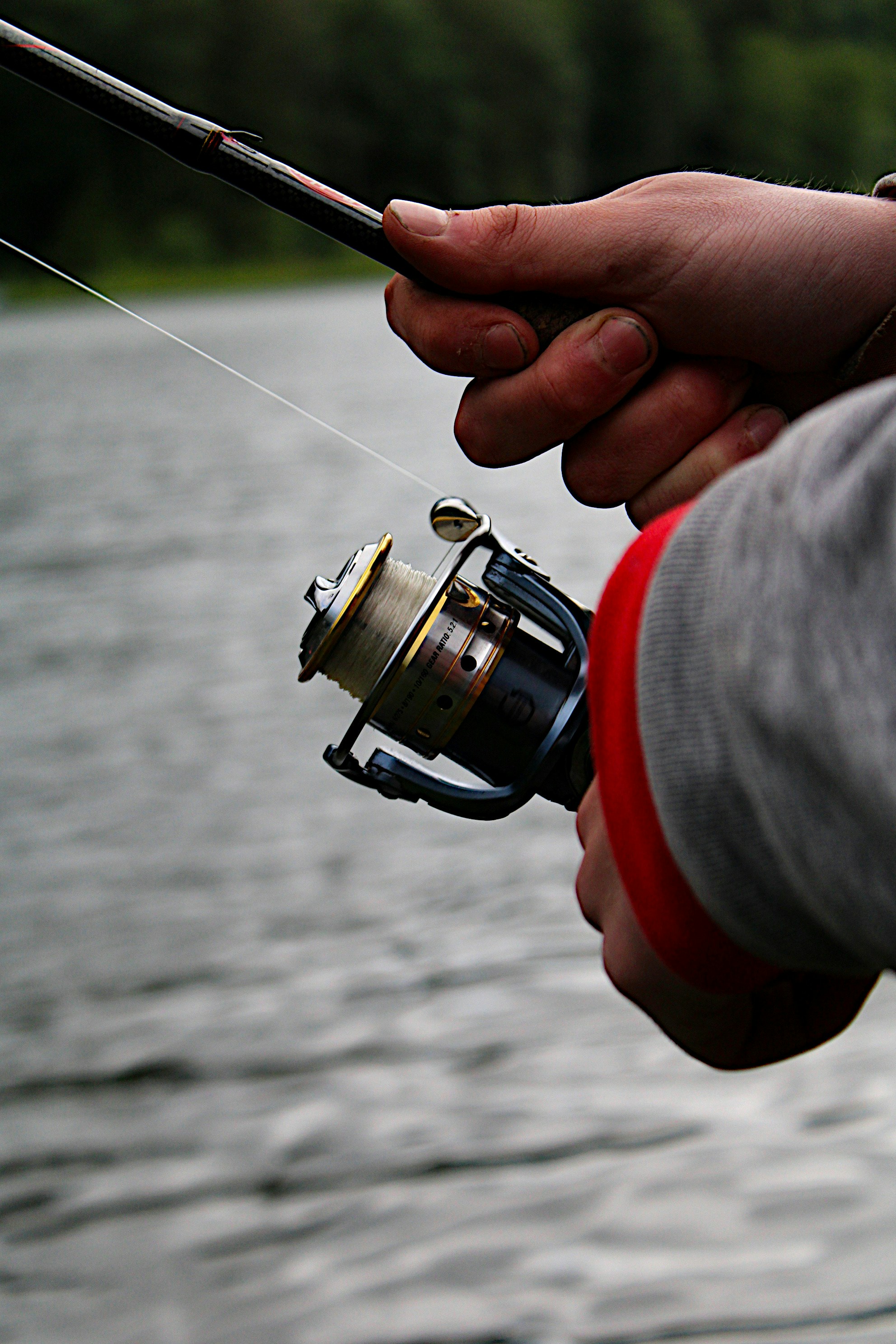 Photo by isaacstevenlind