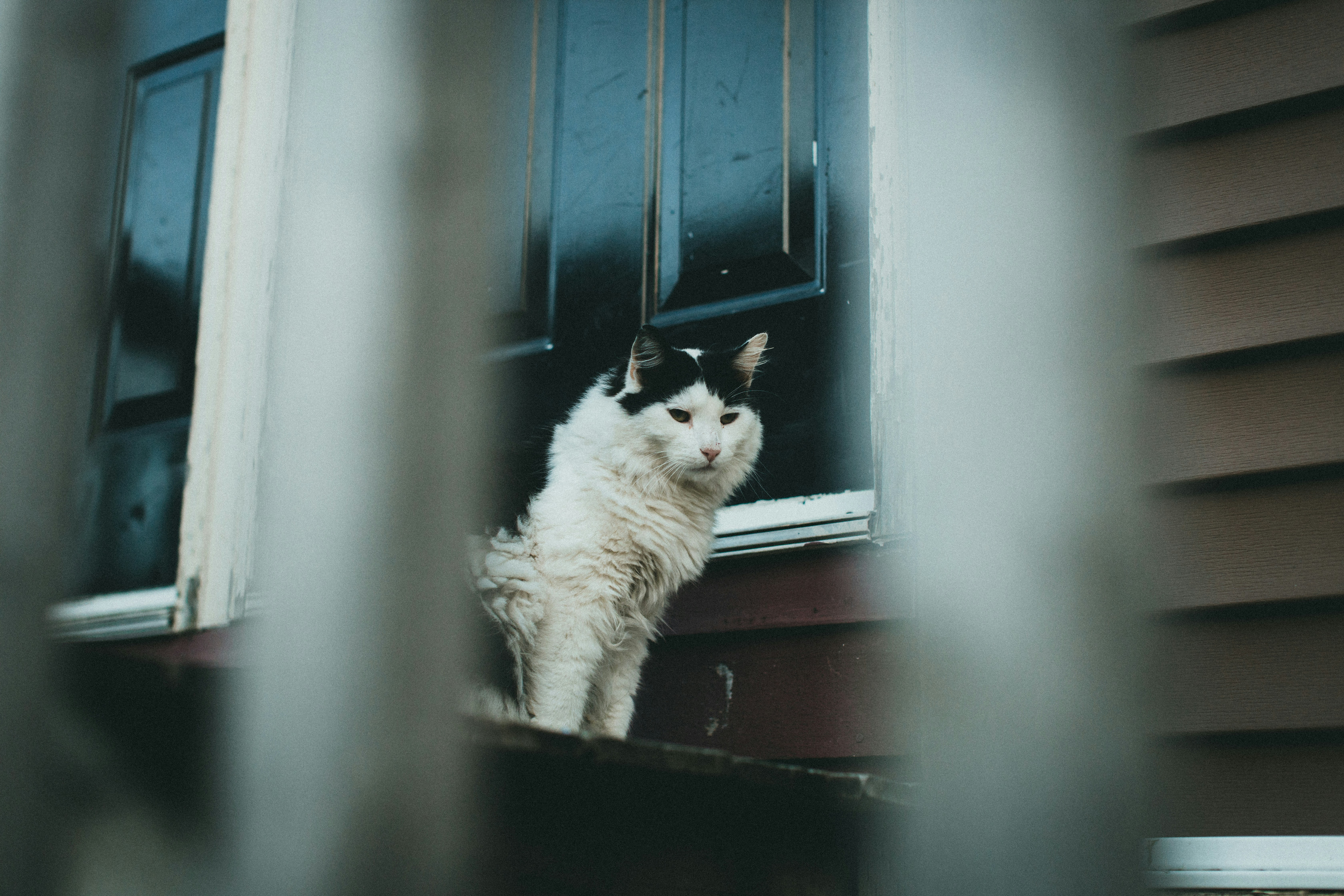 Photo by theshuttervision