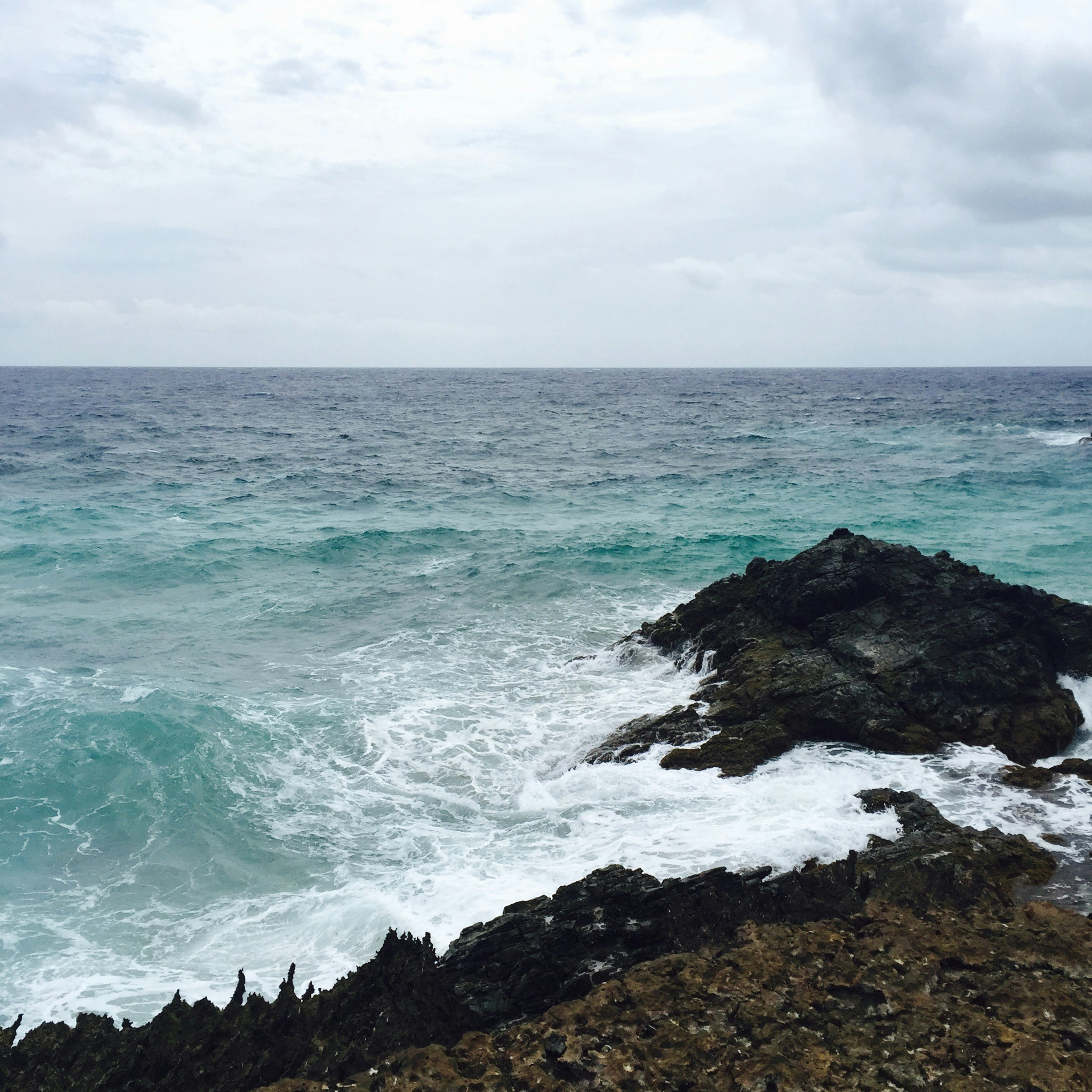 Photo by neroliskye