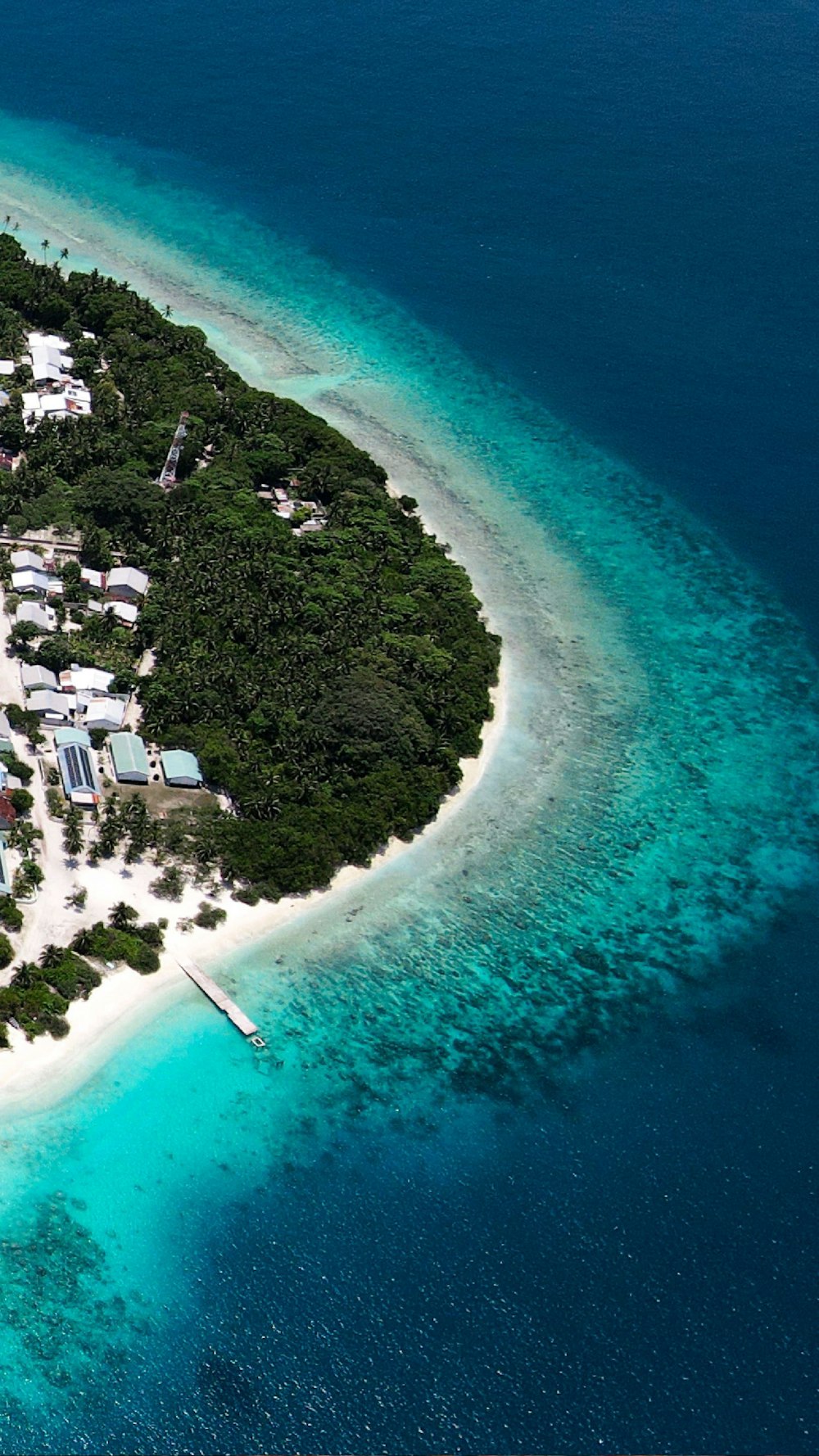 a beach with houses and trees