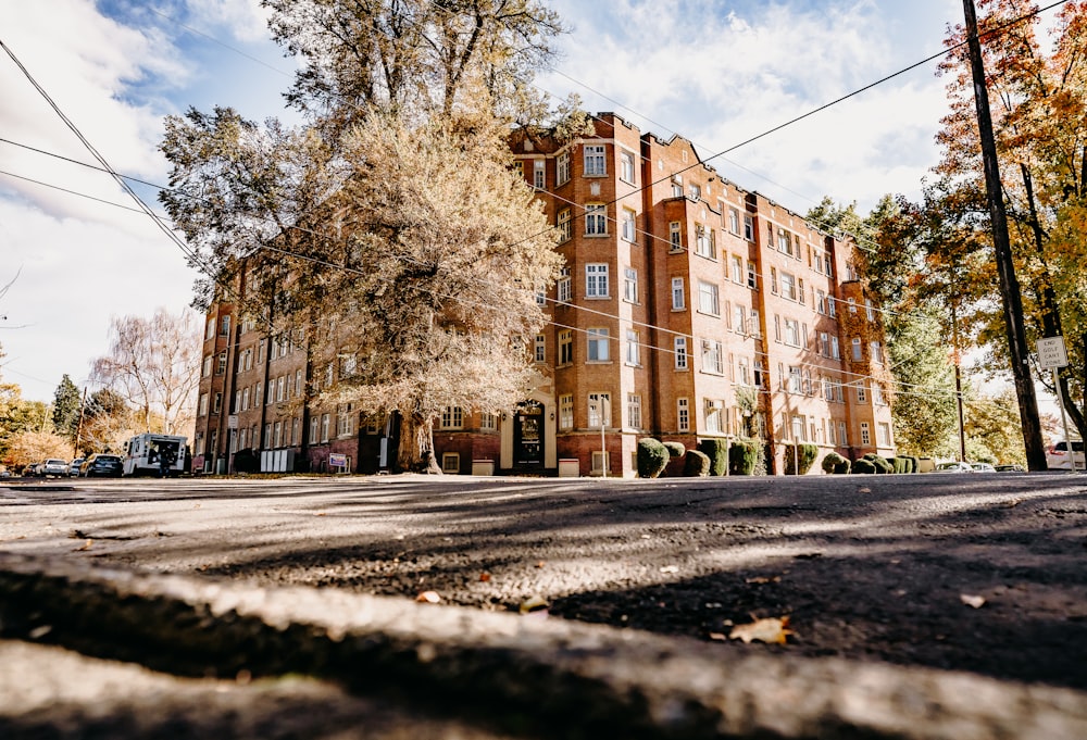 Un edificio con árboles frente a él