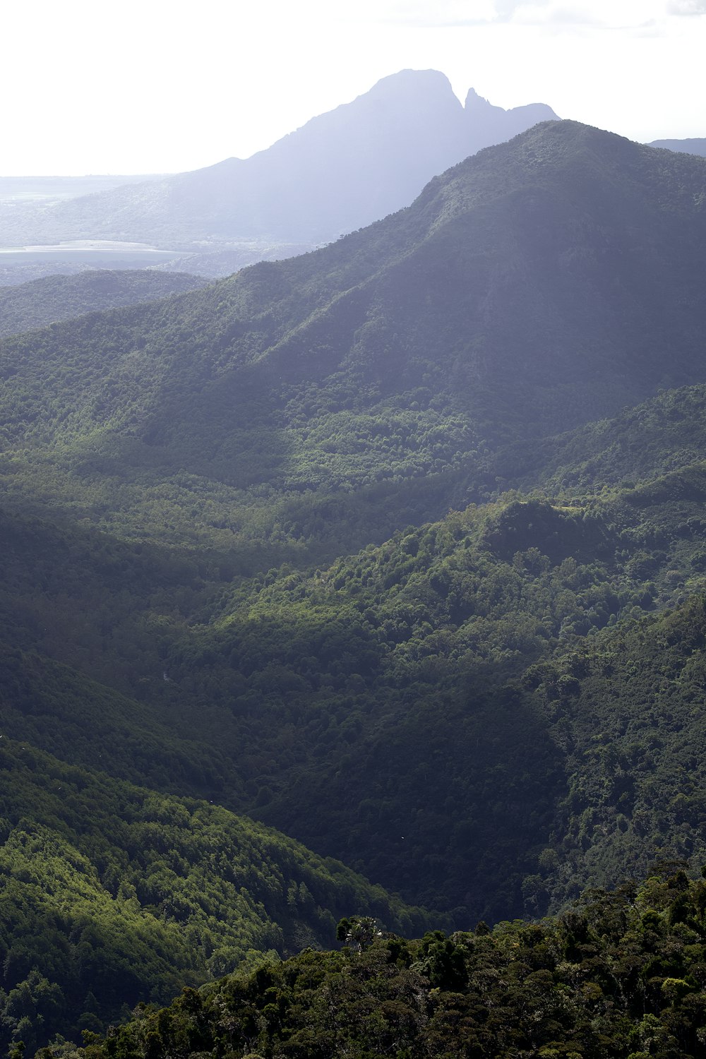 a large mountain with trees below